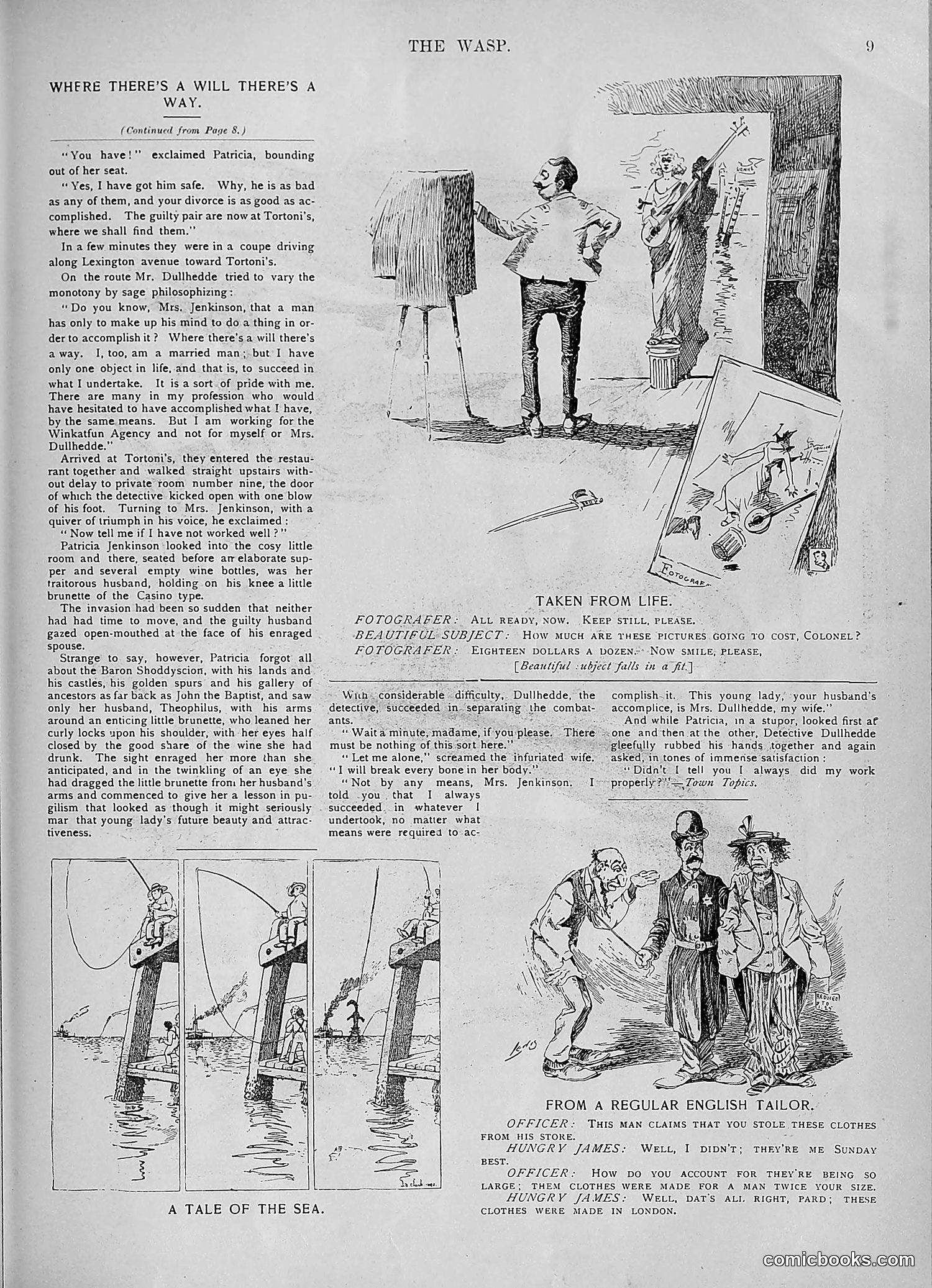 The Wasp — 1893 — page 248 of 578