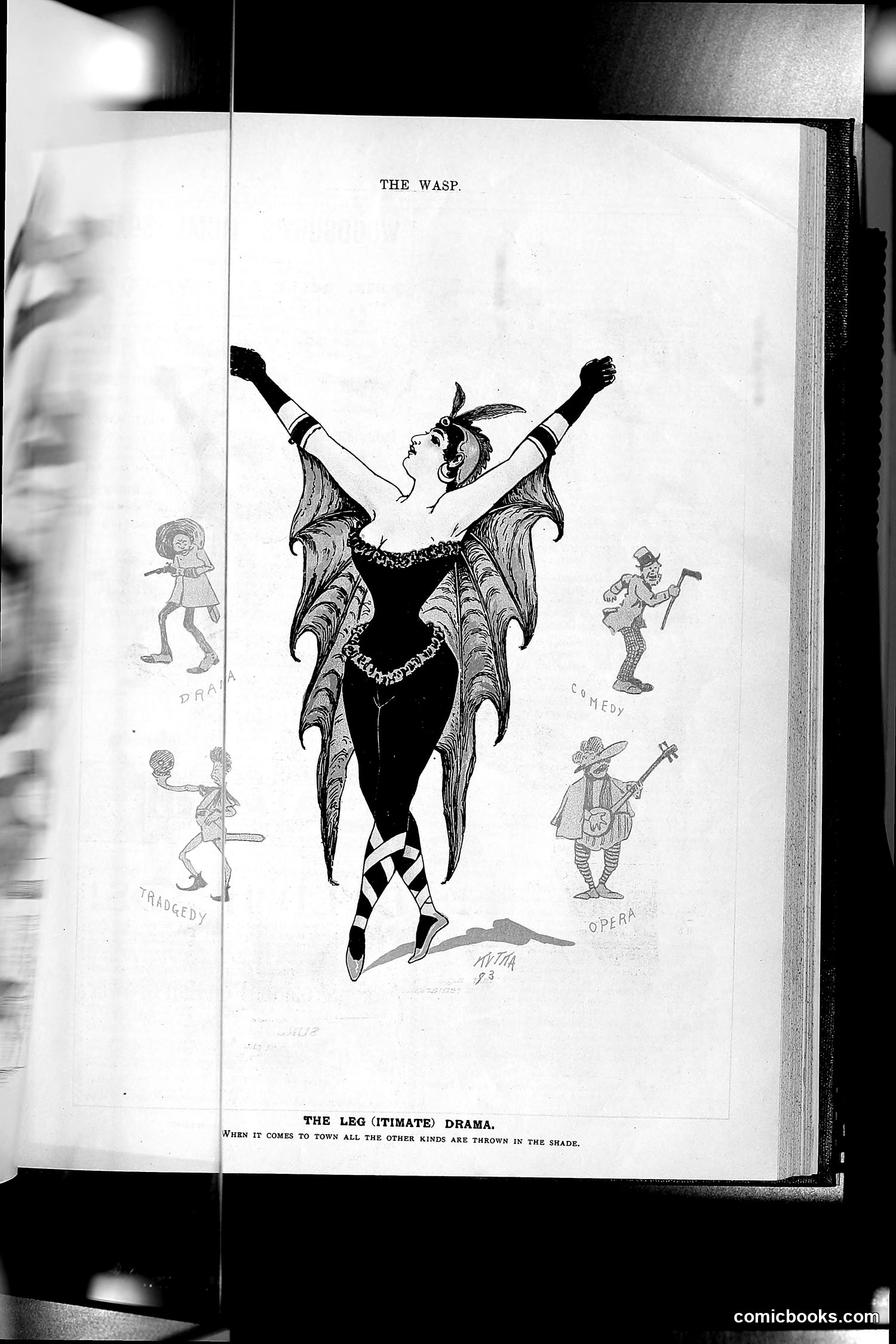 The Wasp — 1893 — page 250 of 578