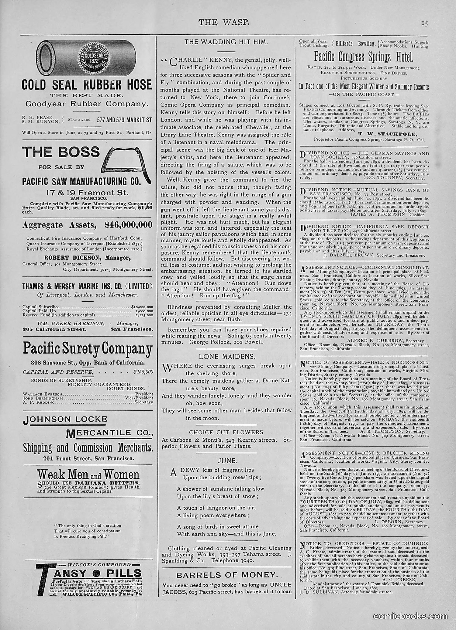 The Wasp — 1893 — page 26 of 578