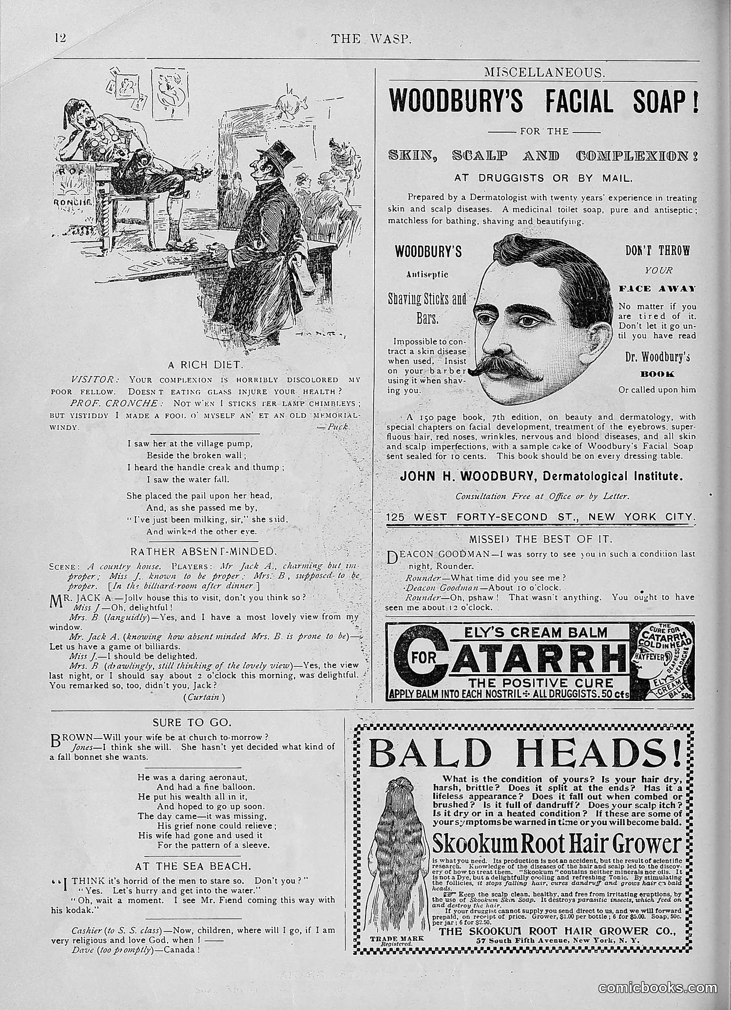 The Wasp — 1893 — page 253 of 578