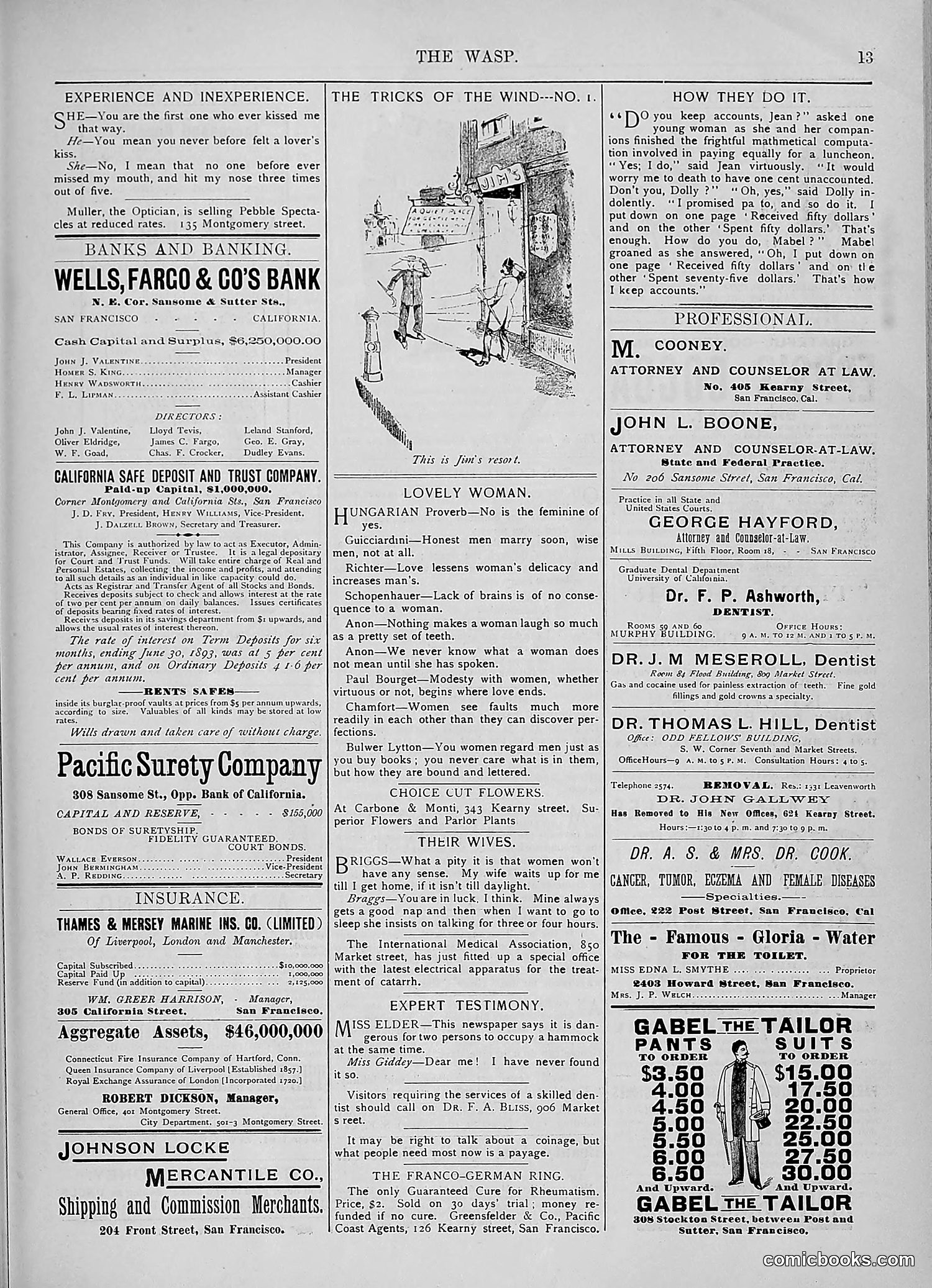 The Wasp — 1893 — page 254 of 578