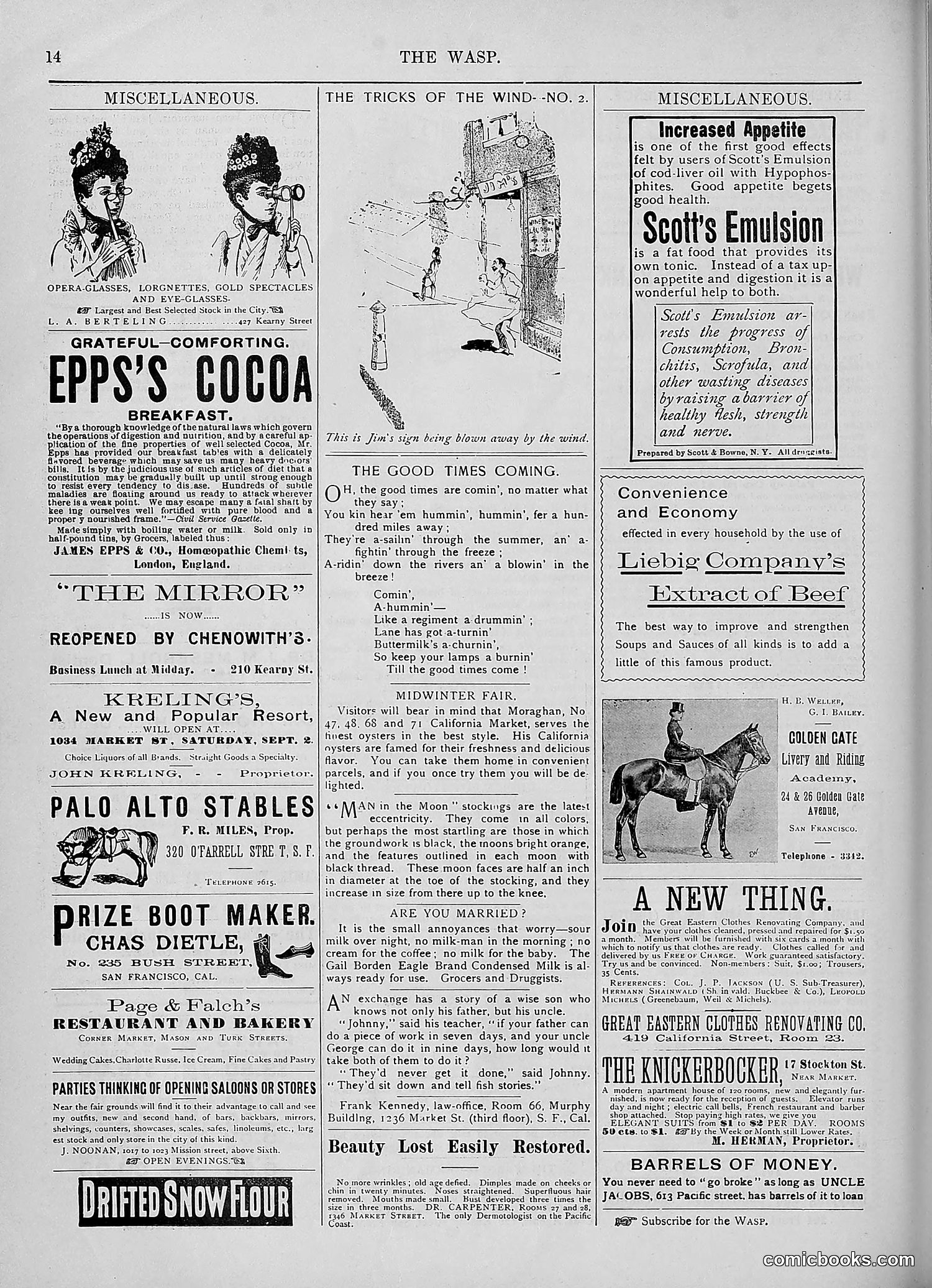 The Wasp — 1893 — page 255 of 578