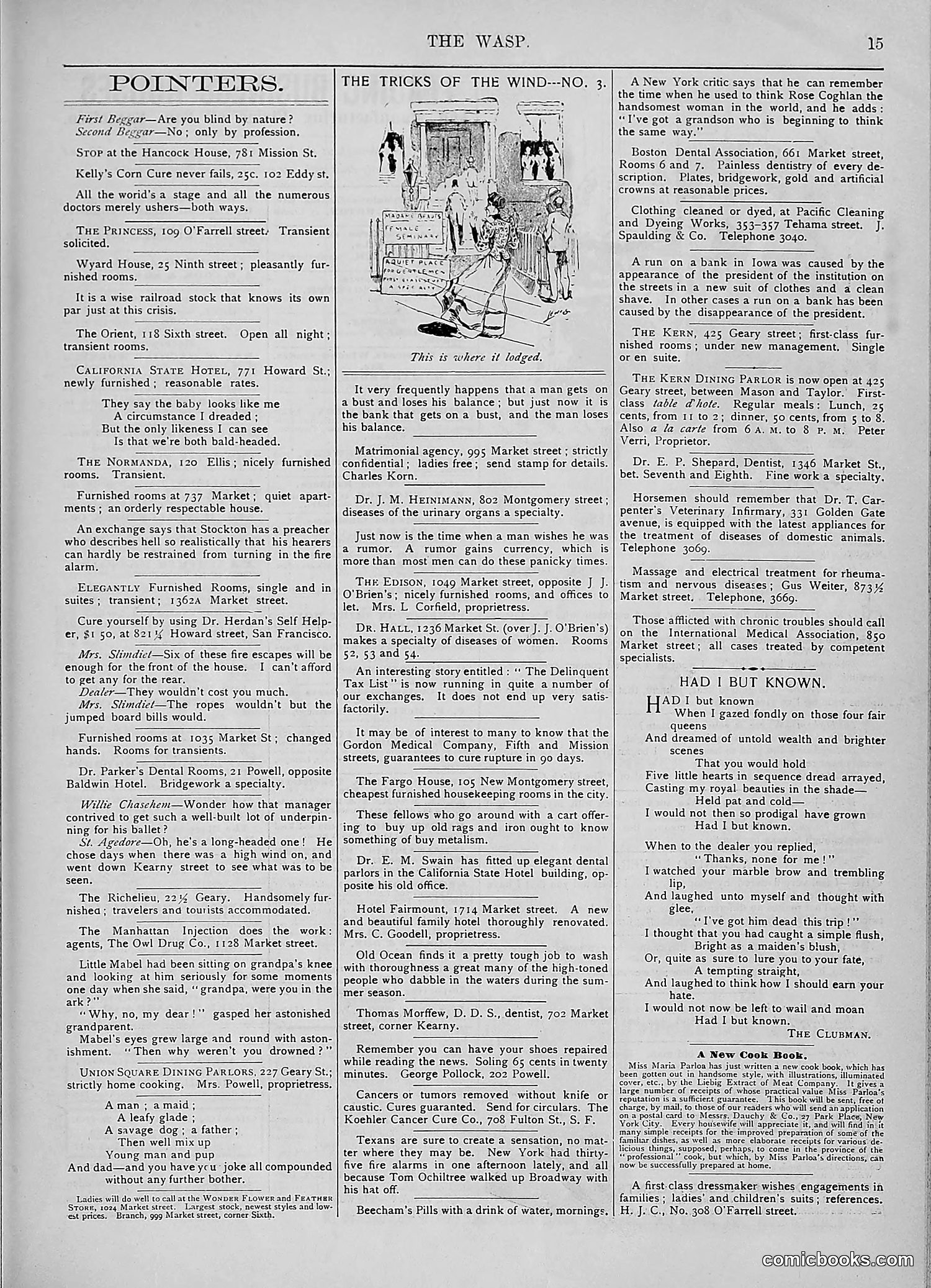 The Wasp — 1893 — page 256 of 578