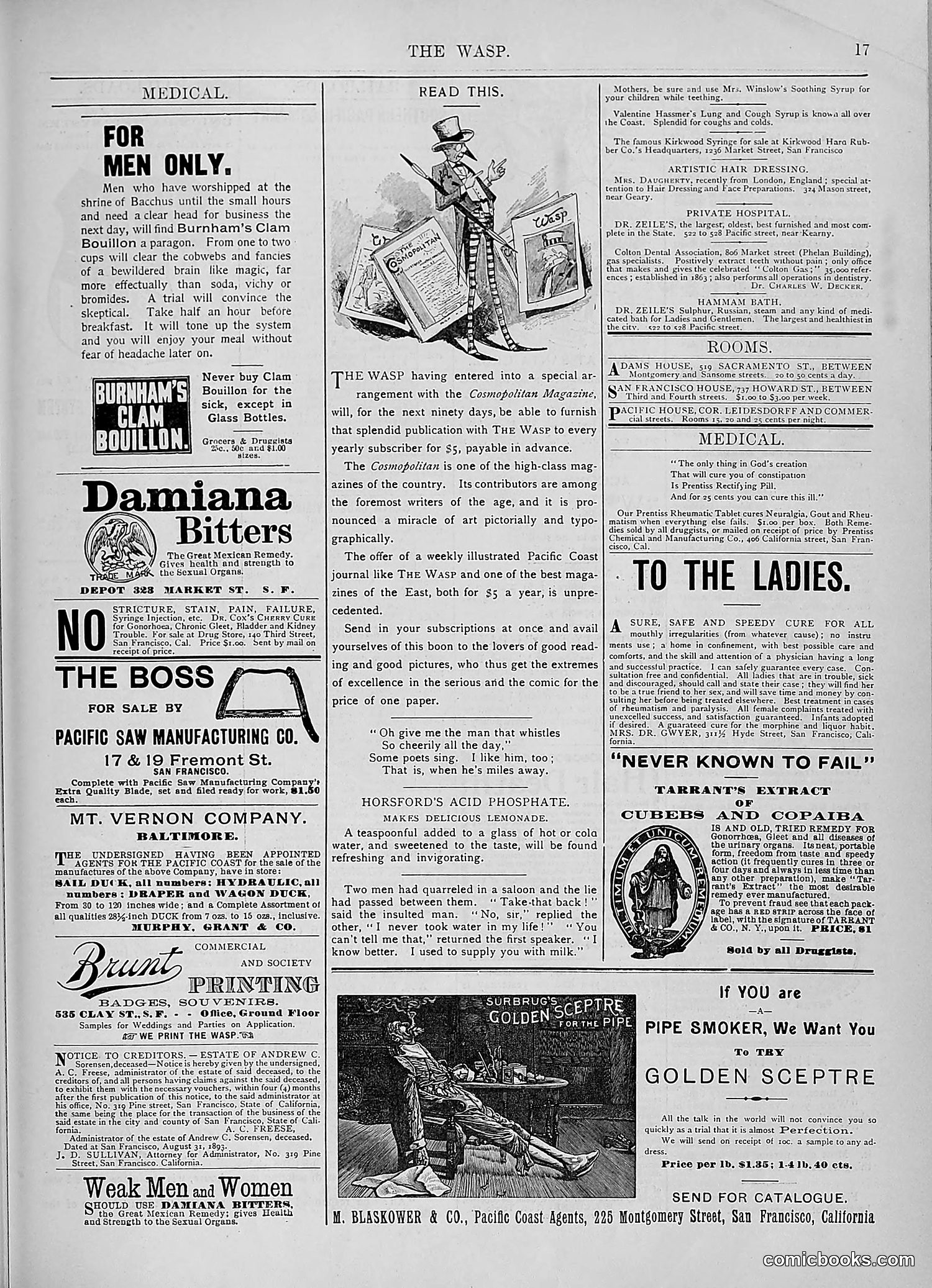 The Wasp — 1893 — page 258 of 578
