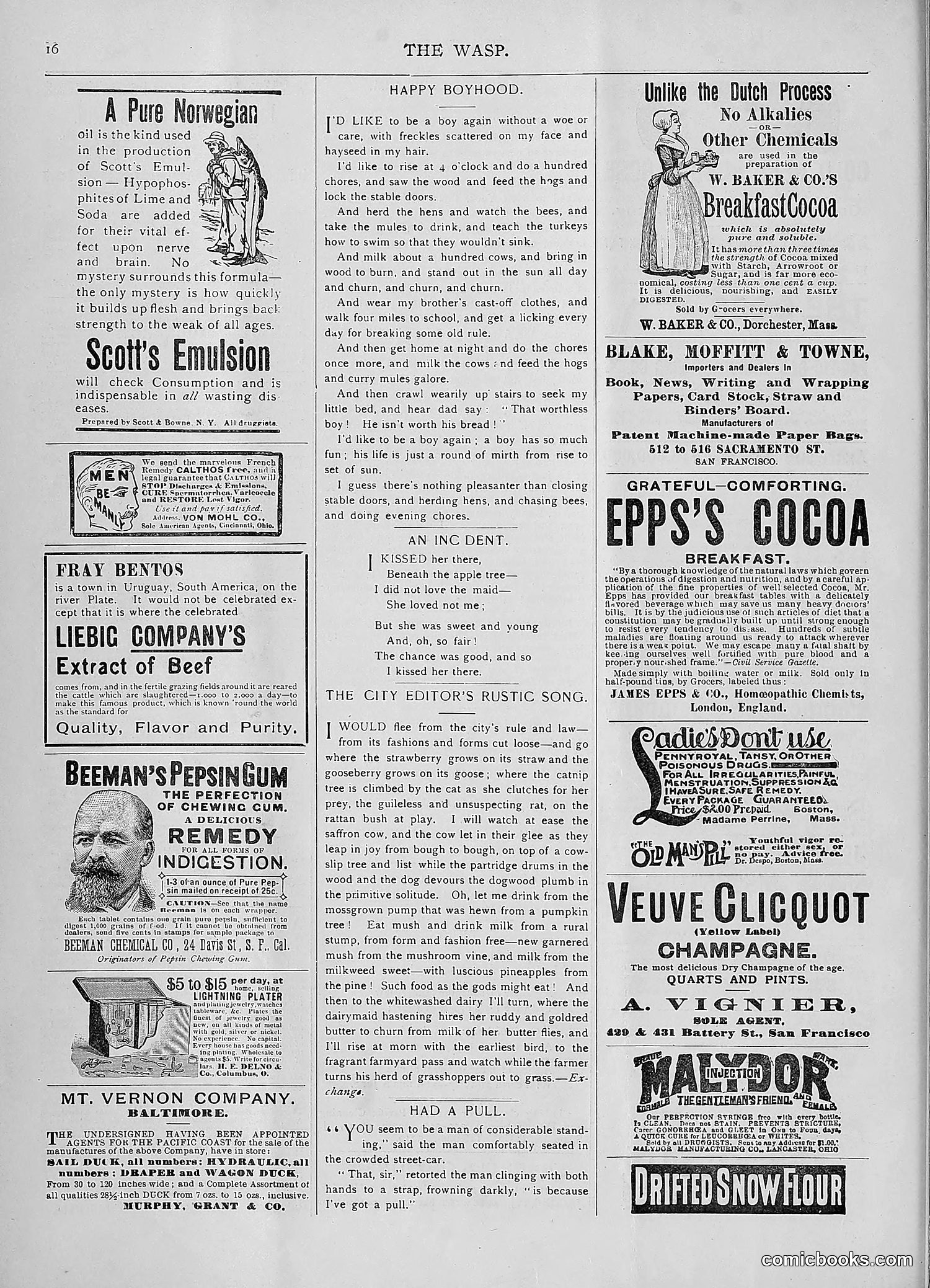 The Wasp — 1893 — page 27 of 578
