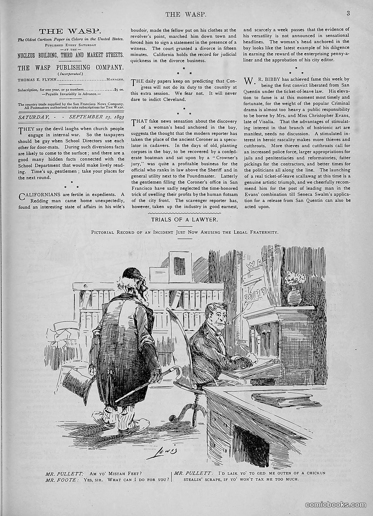 The Wasp — 1893 — page 264 of 578