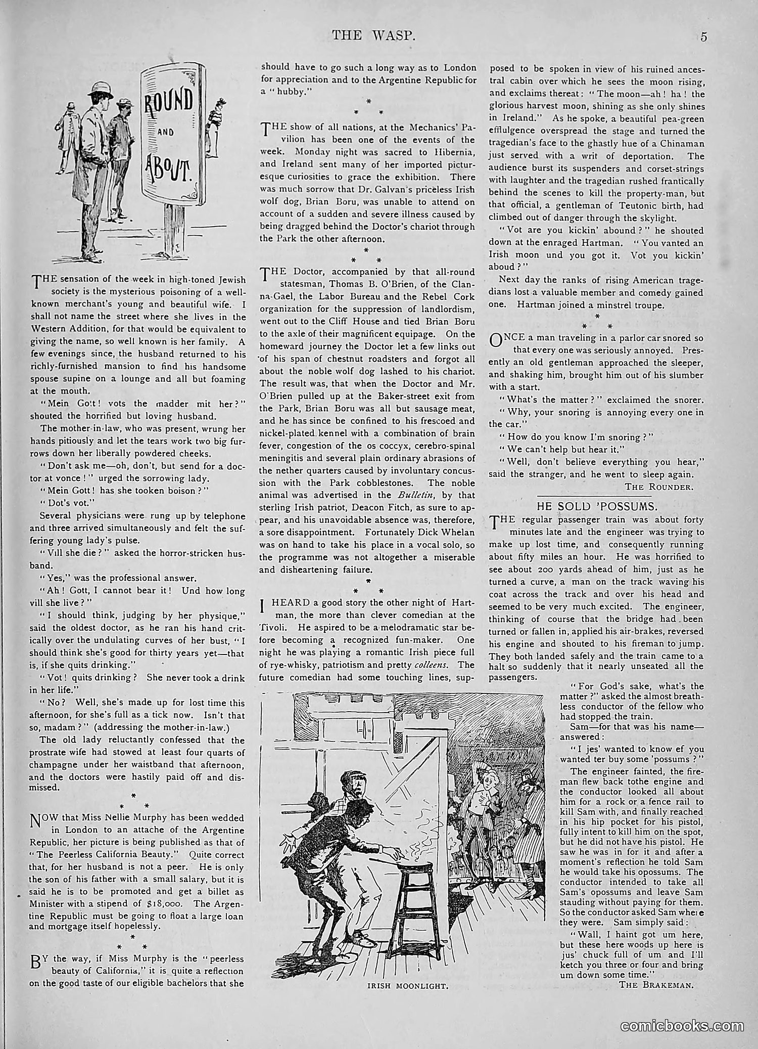 The Wasp — 1893 — page 266 of 578
