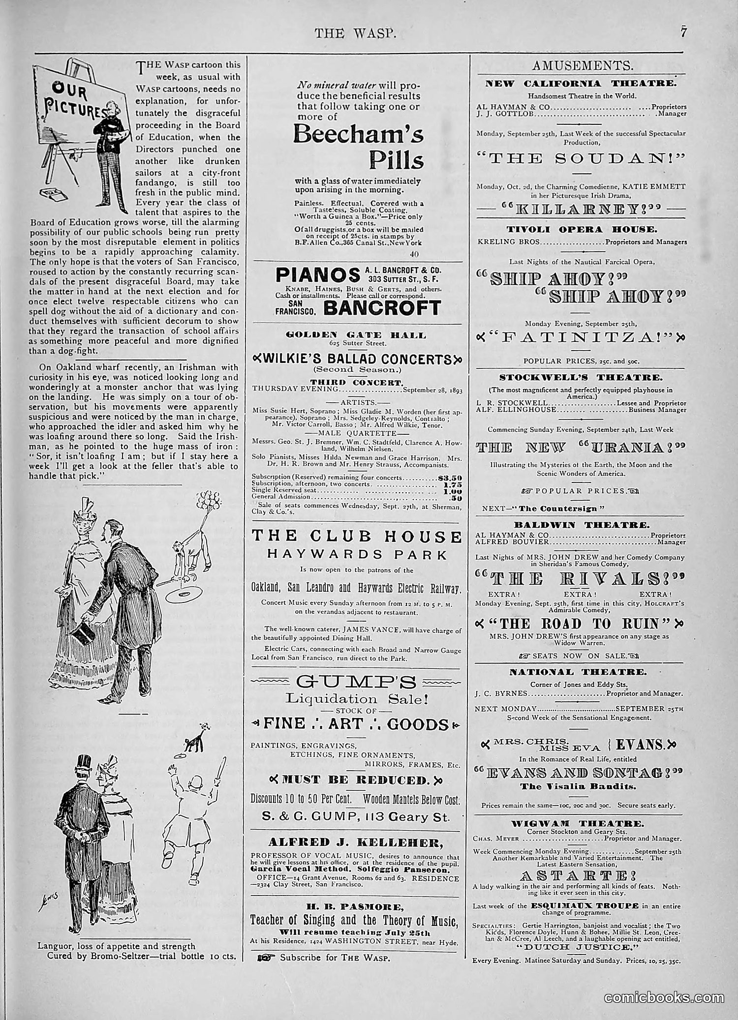 The Wasp — 1893 — page 268 of 578
