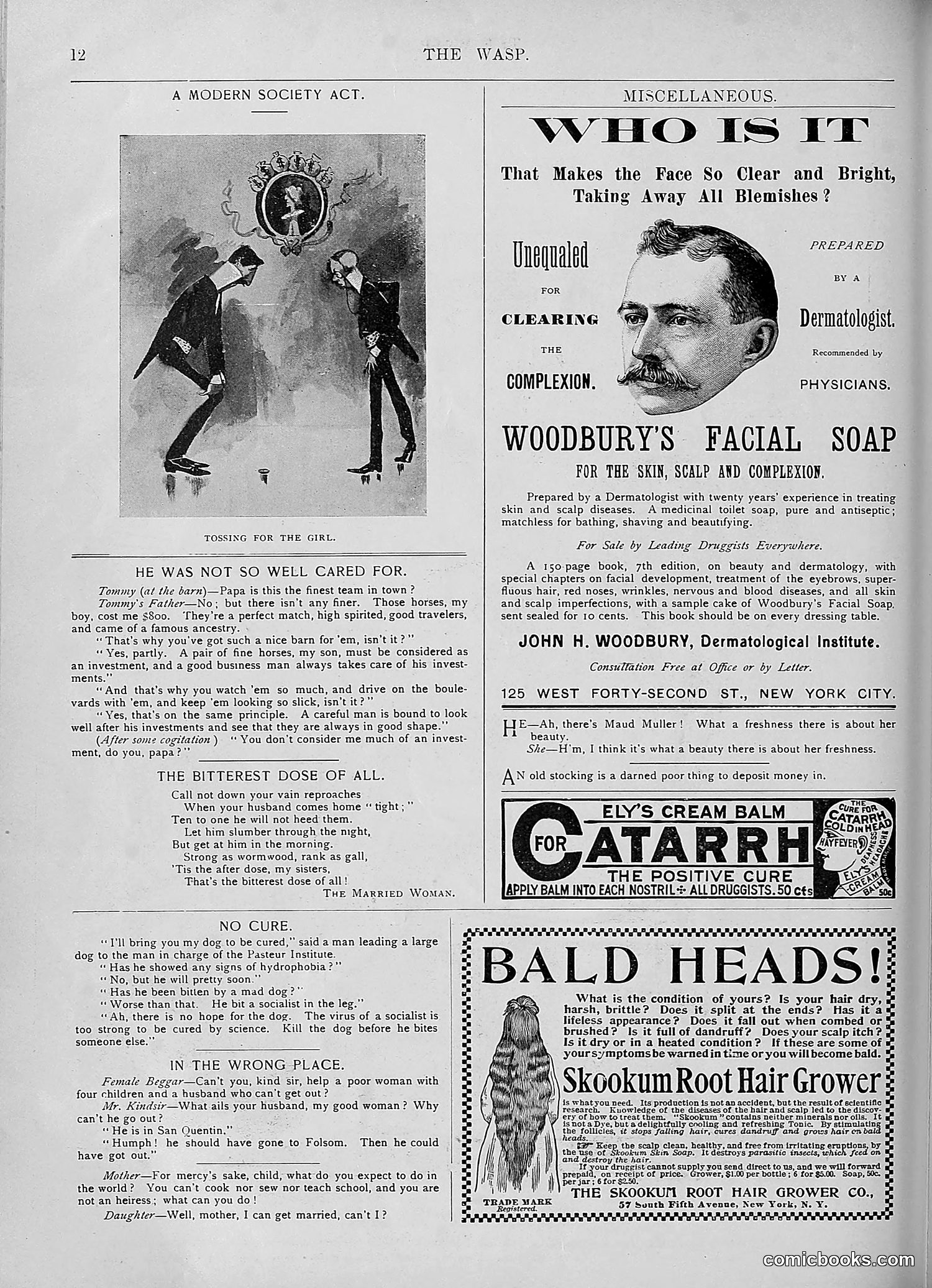 The Wasp — 1893 — page 273 of 578
