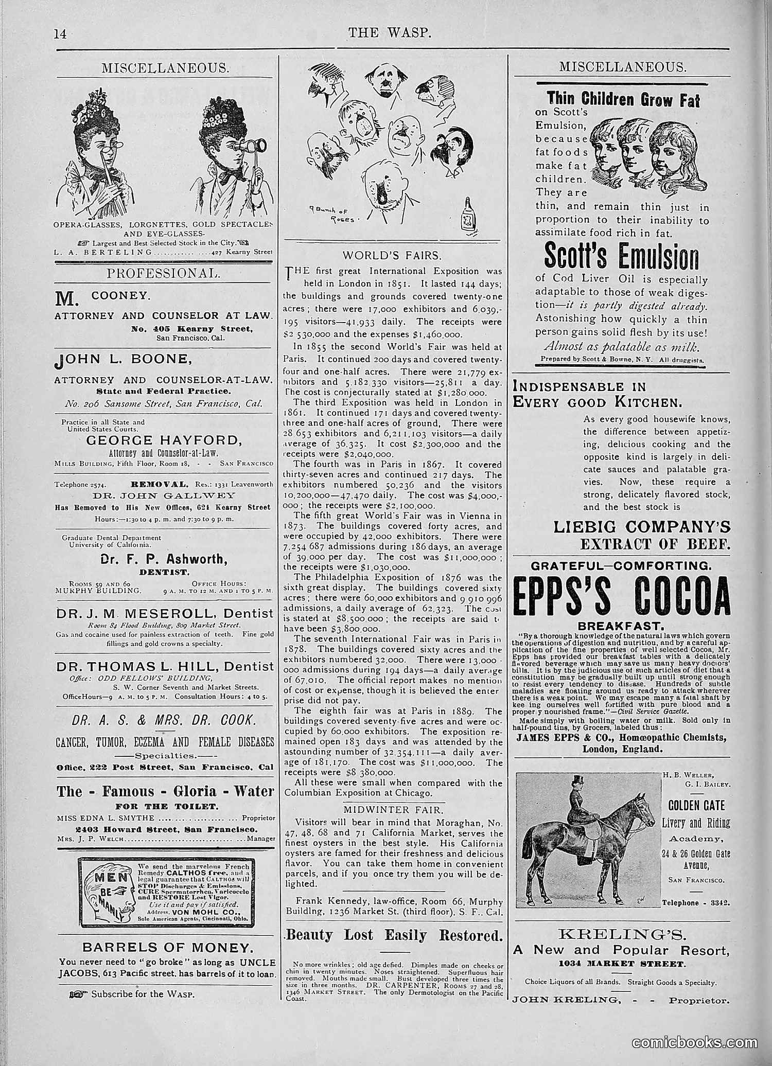 The Wasp — 1893 — page 275 of 578
