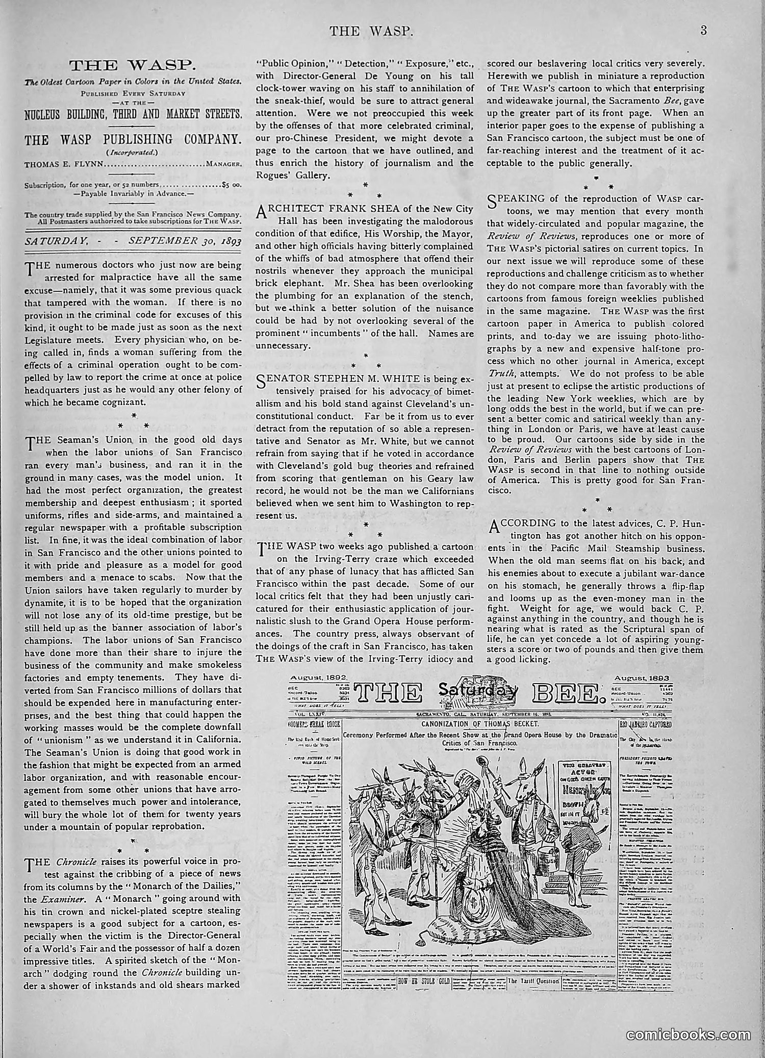 The Wasp — 1893 — page 284 of 578
