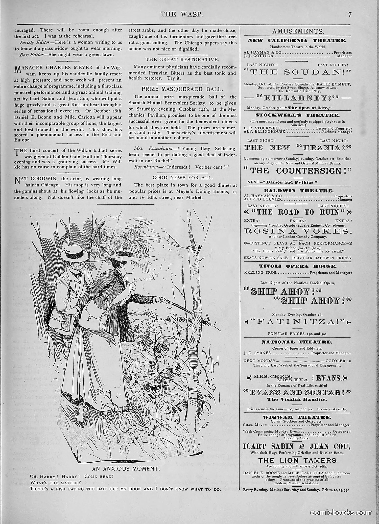 The Wasp — 1893 — page 288 of 578