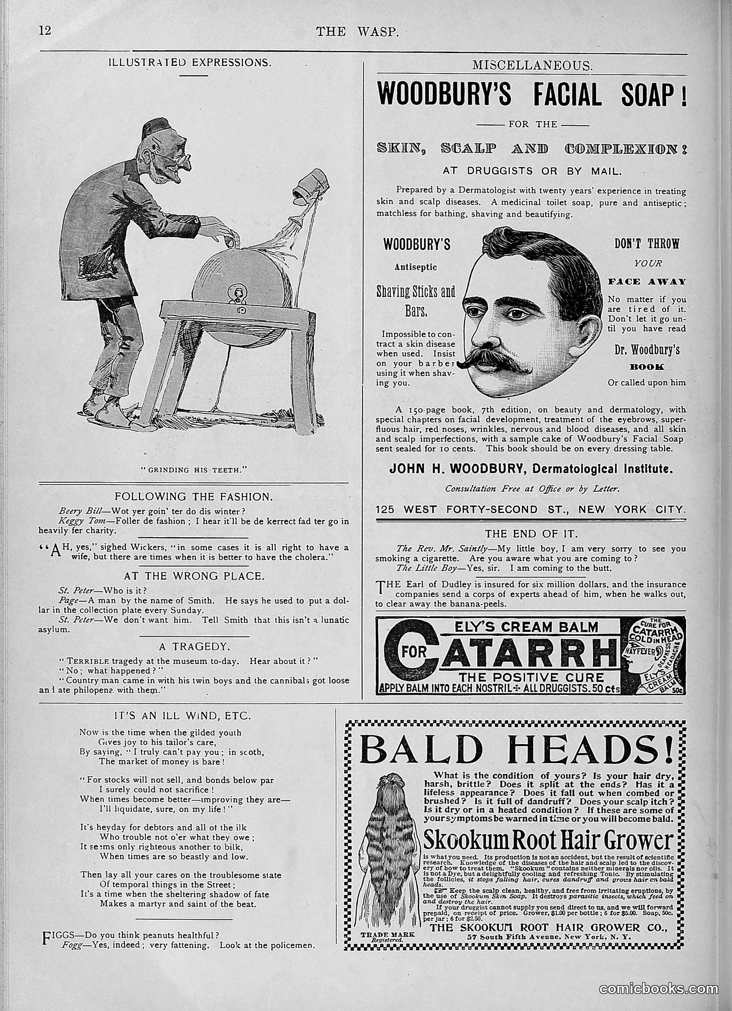 The Wasp — 1893 — page 293 of 578