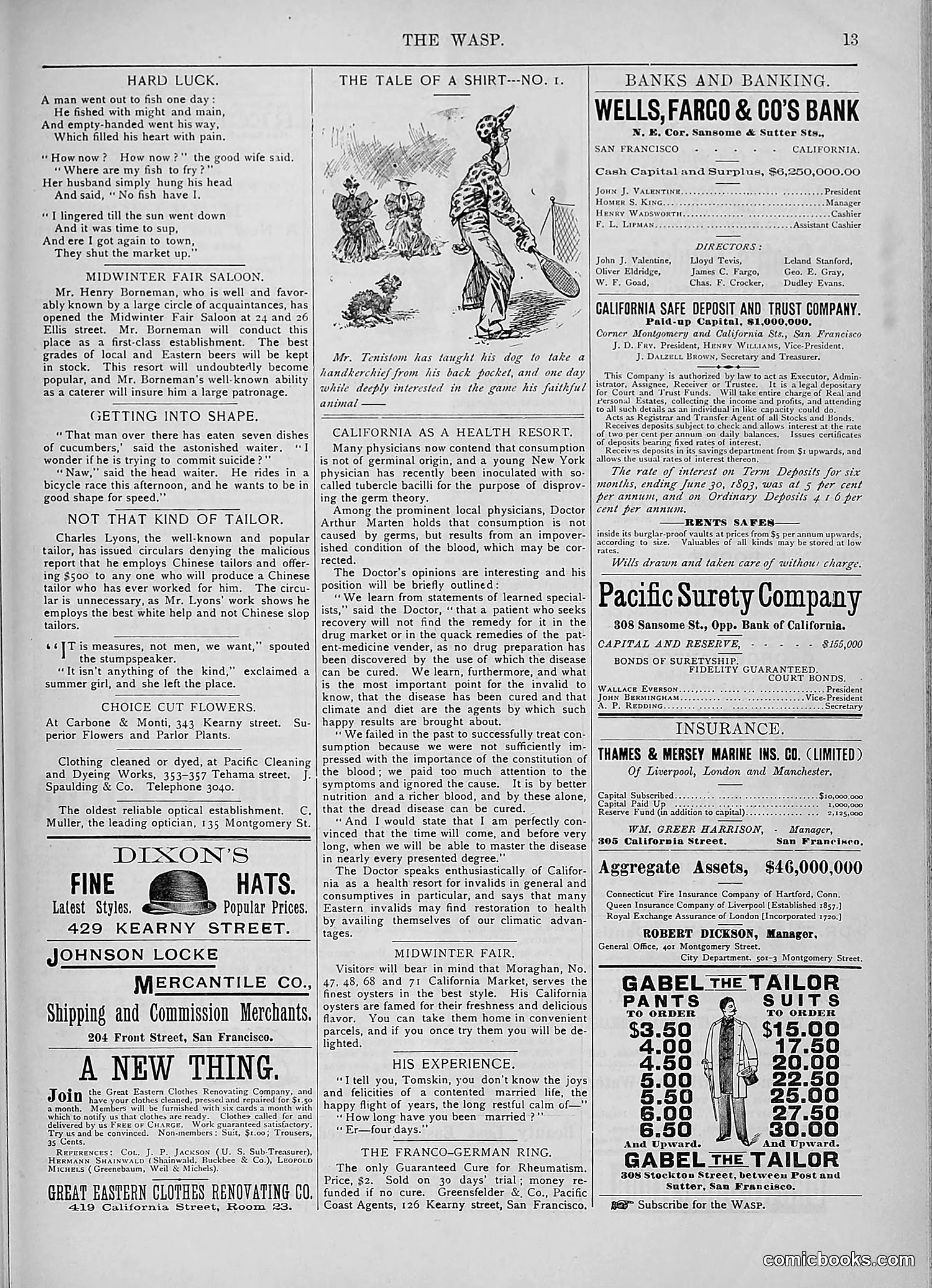The Wasp — 1893 — page 294 of 578