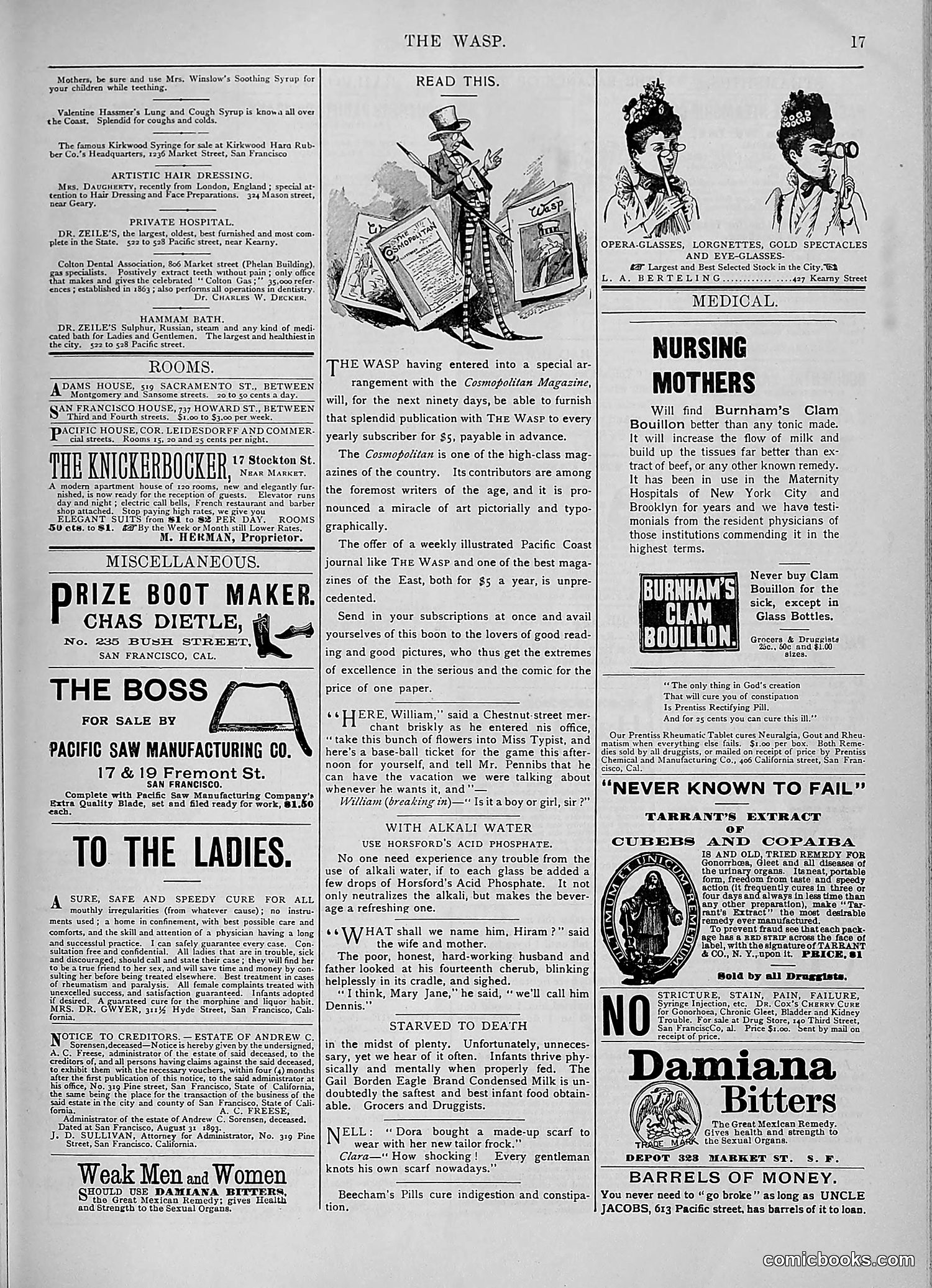 The Wasp — 1893 — page 298 of 578