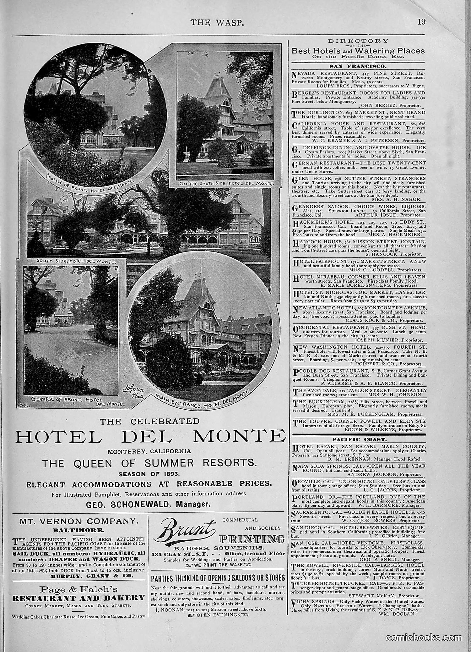 The Wasp — 1893 — page 300 of 578