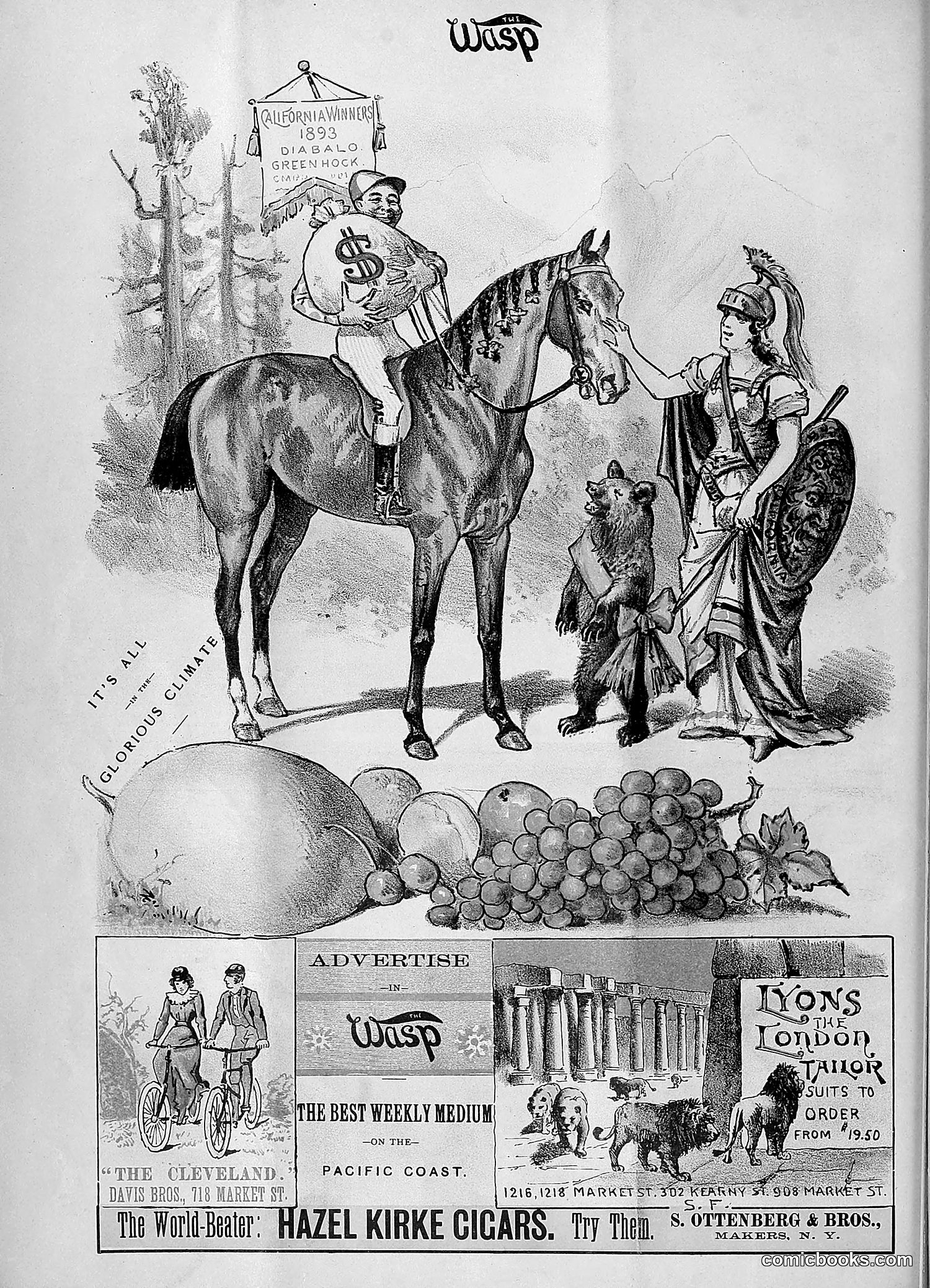 The Wasp — 1893 — page 31 of 578