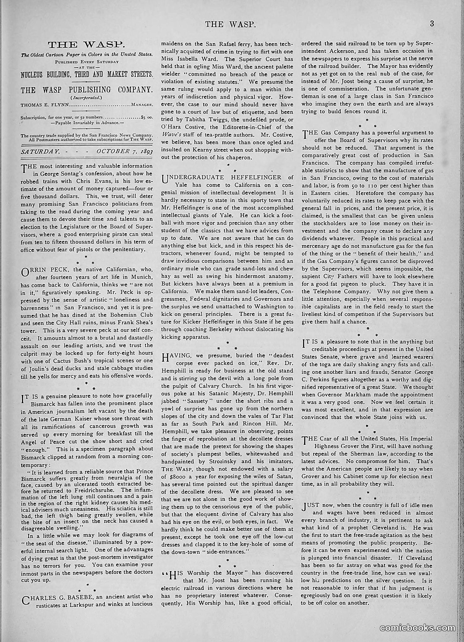 The Wasp — 1893 — page 304 of 578