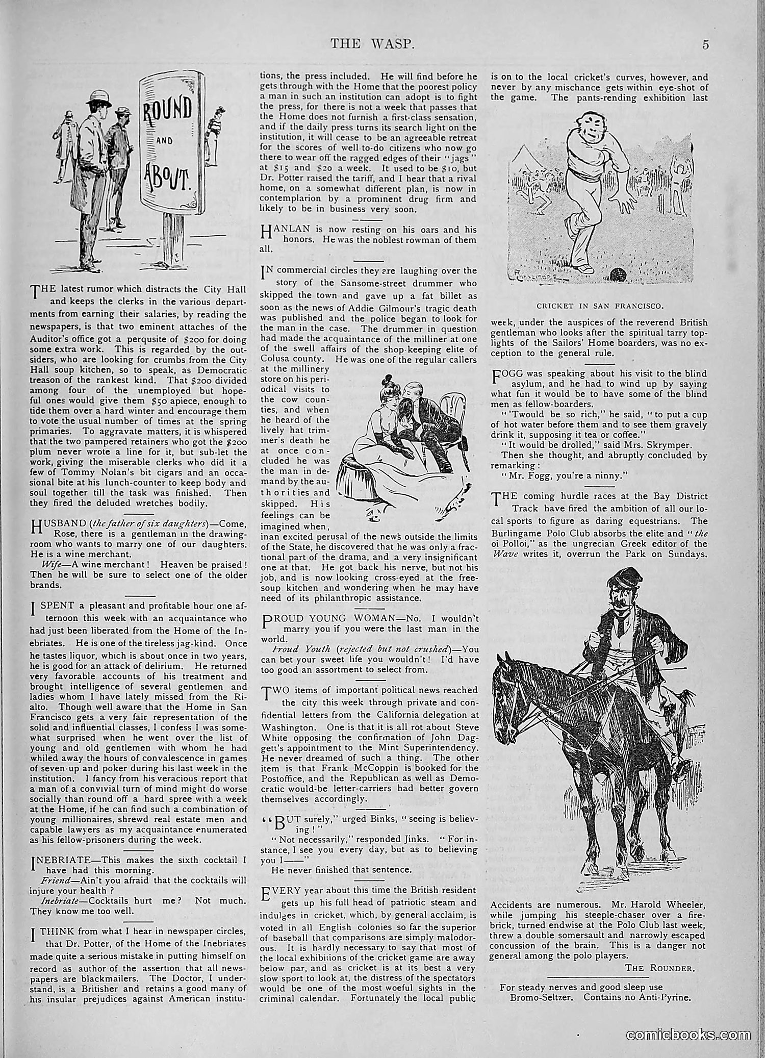 The Wasp — 1893 — page 306 of 578