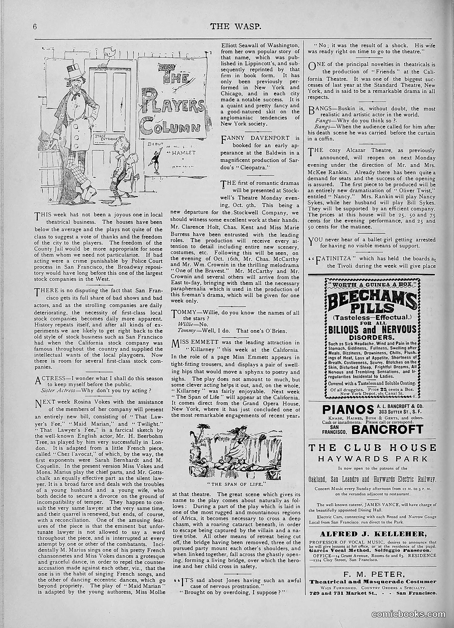 The Wasp — 1893 — page 307 of 578