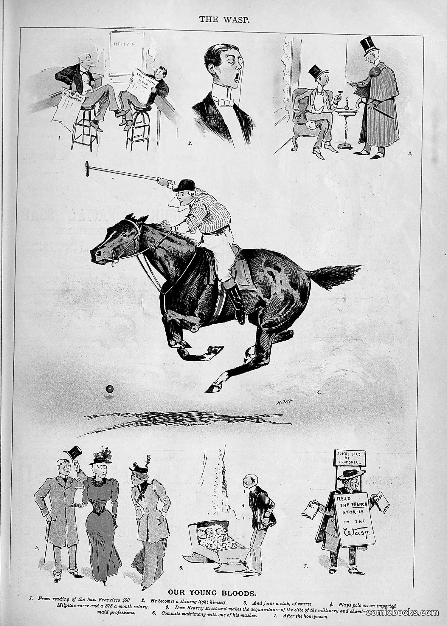 The Wasp — 1893 — page 312 of 578