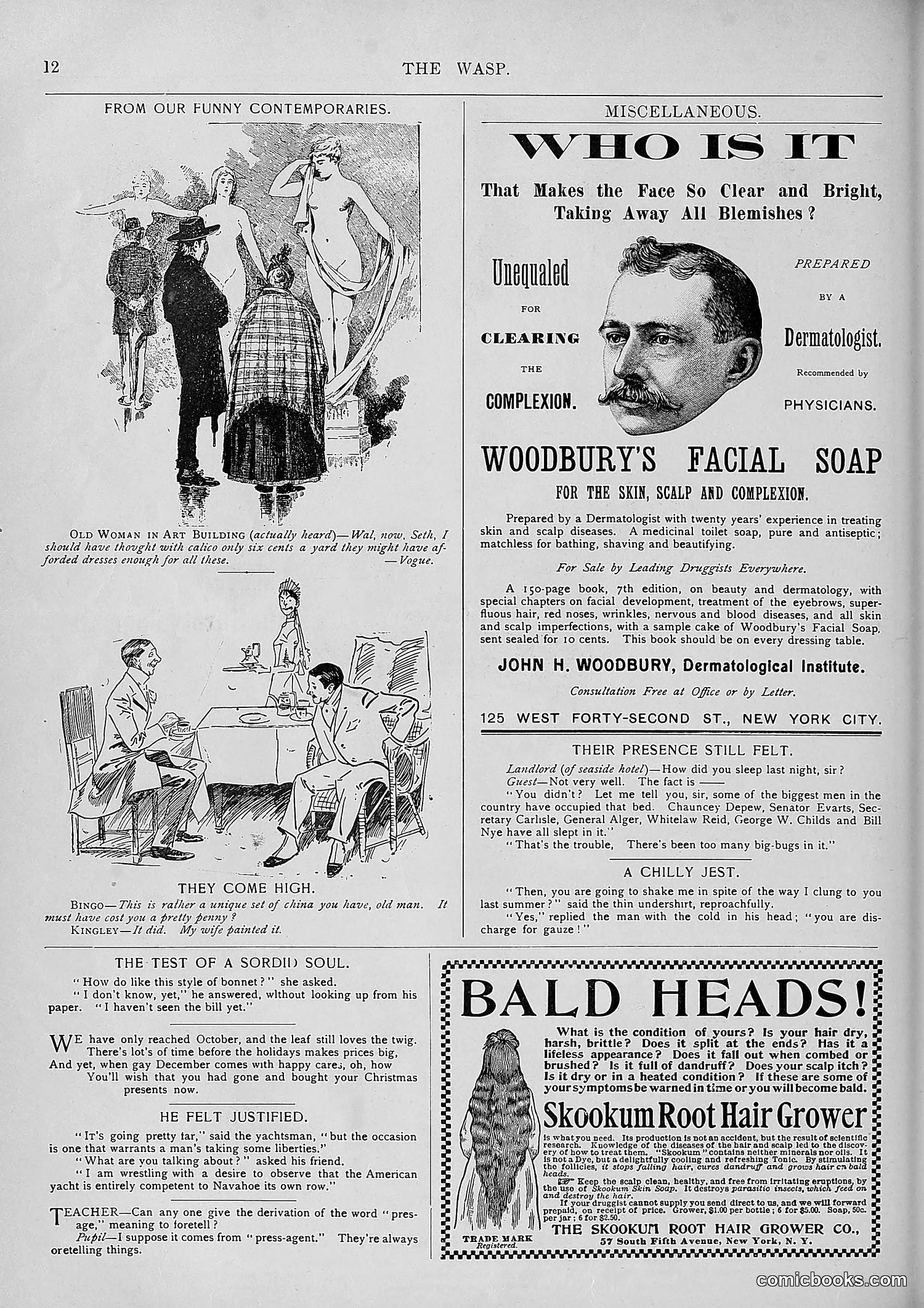 The Wasp — 1893 — page 313 of 578