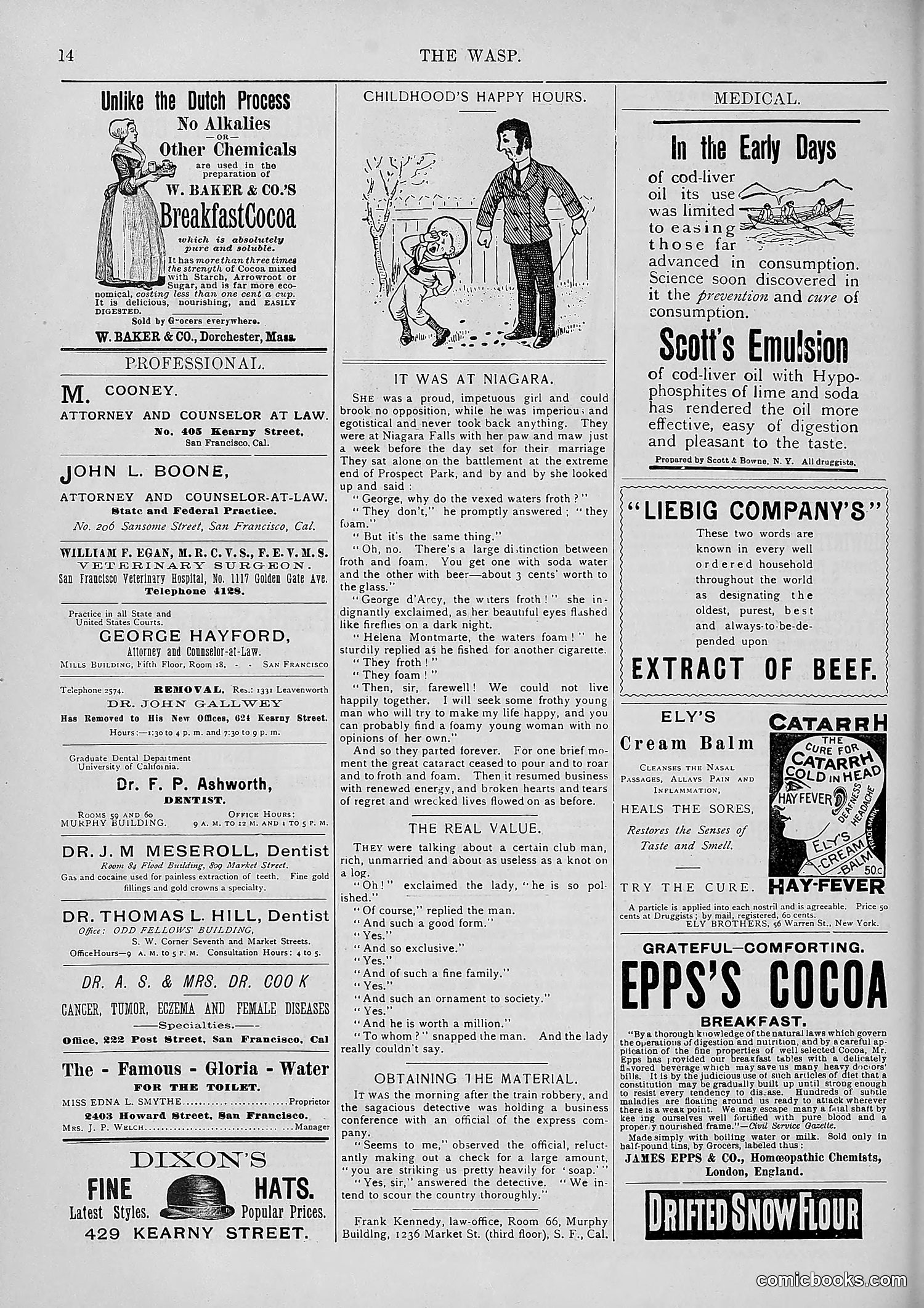 The Wasp — 1893 — page 315 of 578