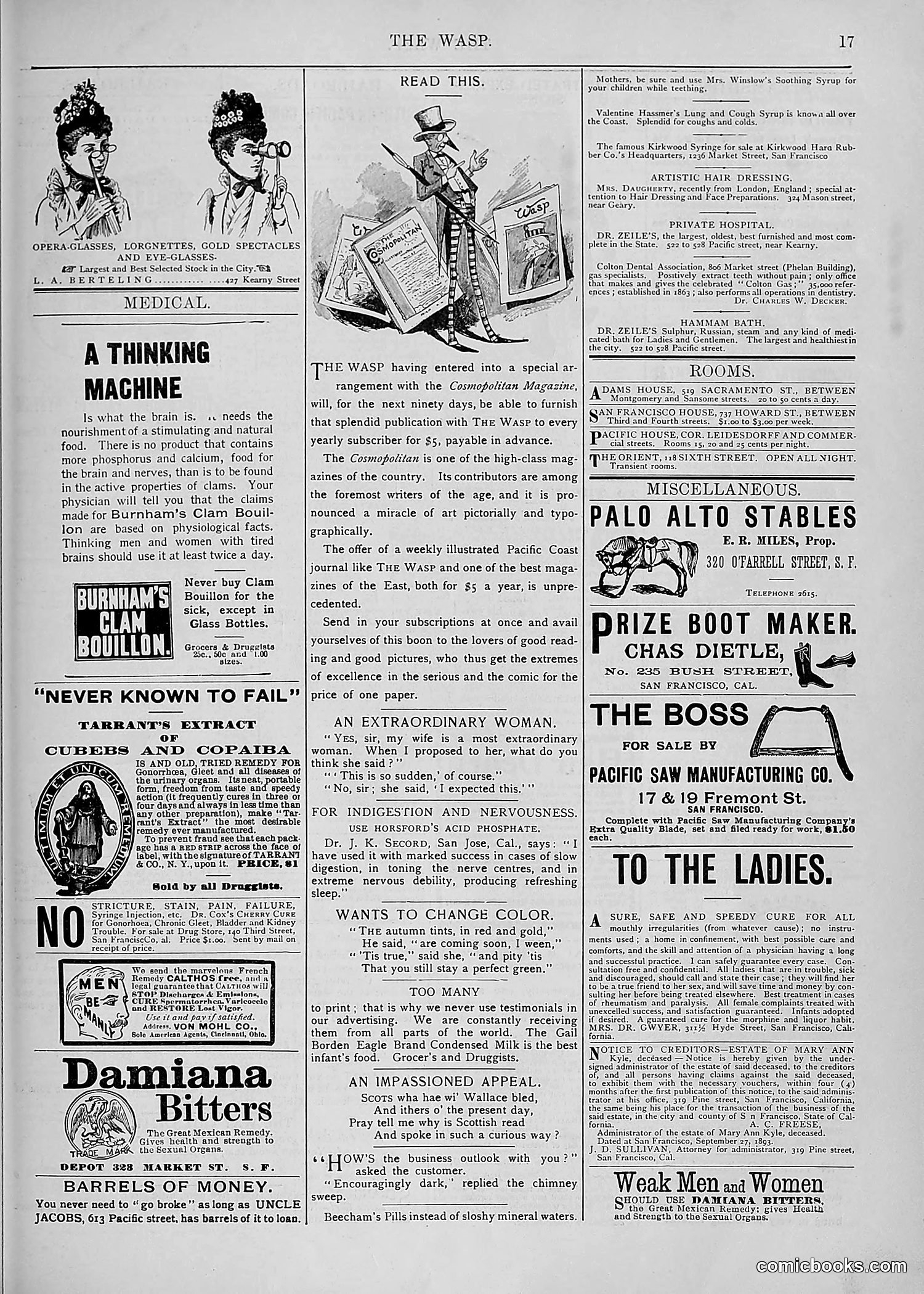 The Wasp — 1893 — page 318 of 578