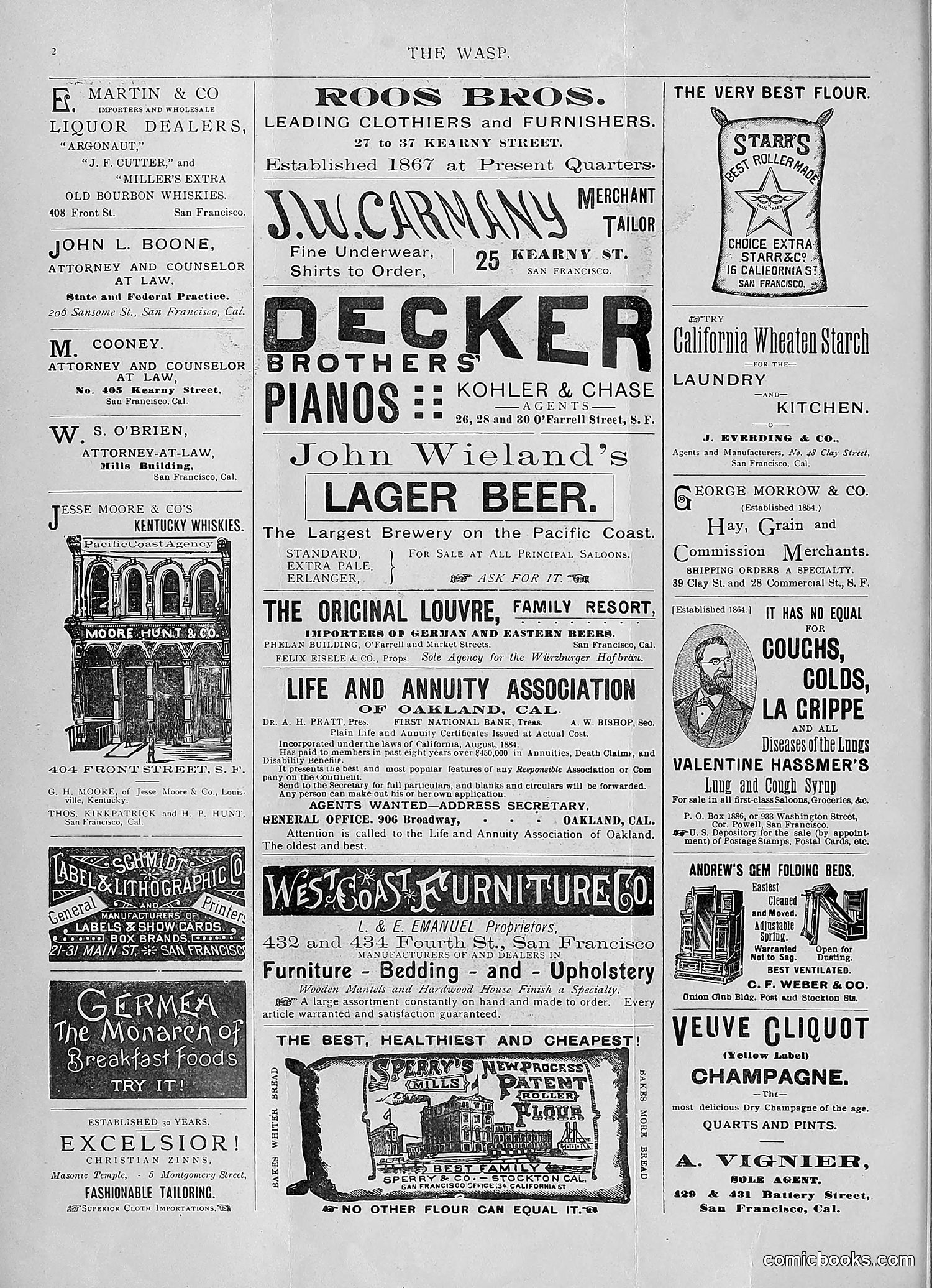 The Wasp — 1893 — page 33 of 578