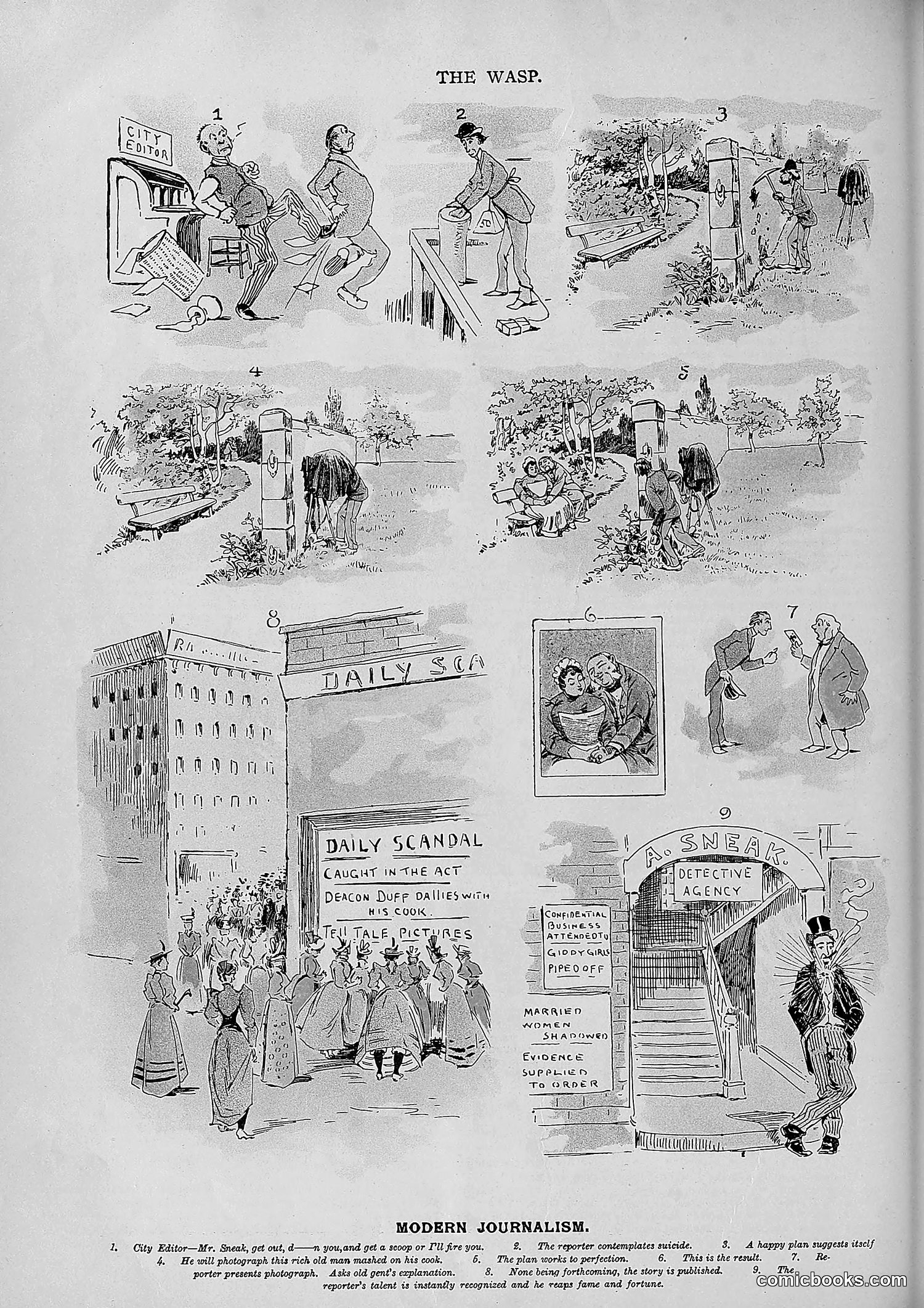 The Wasp — 1893 — page 331 of 578