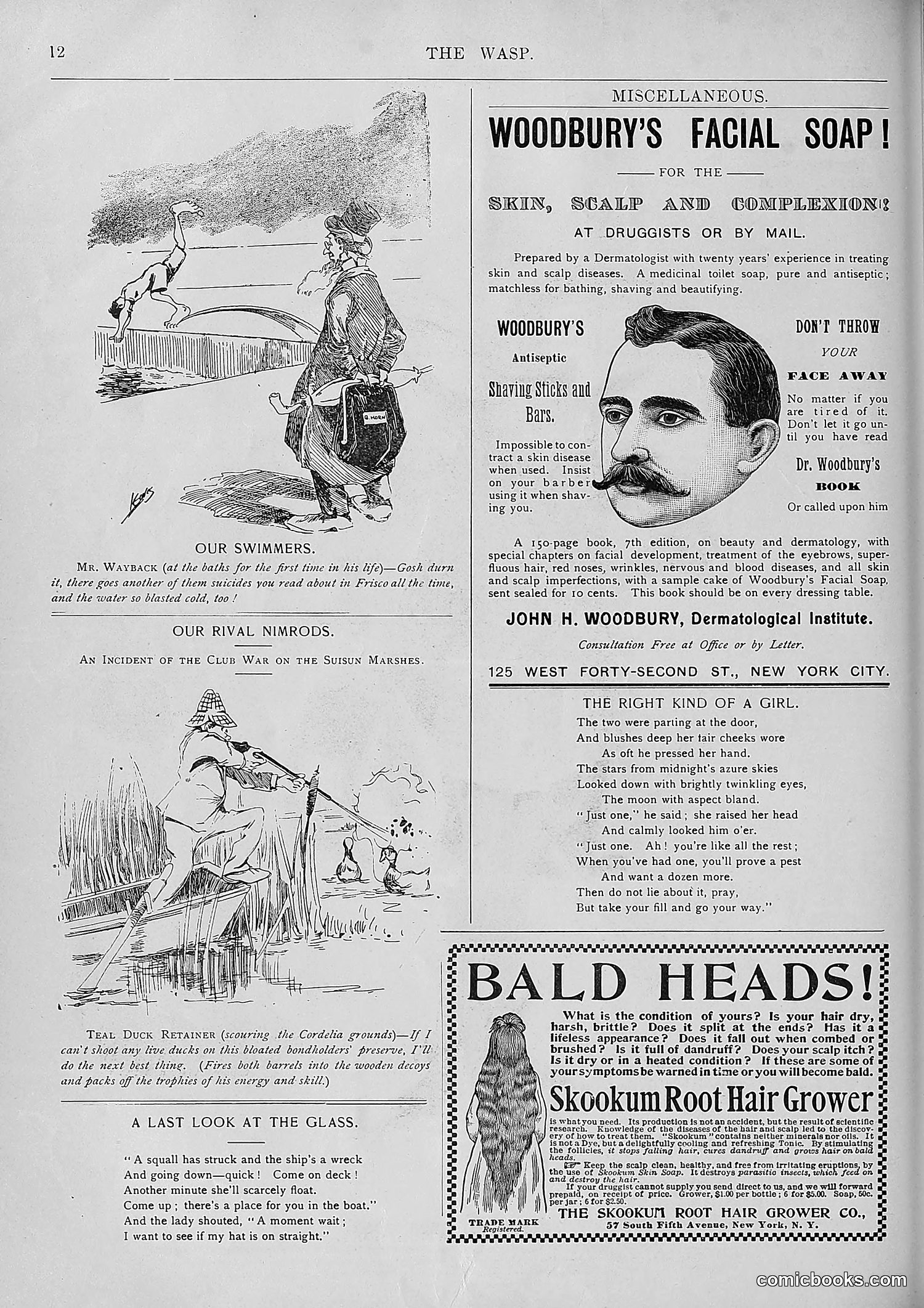 The Wasp — 1893 — page 333 of 578