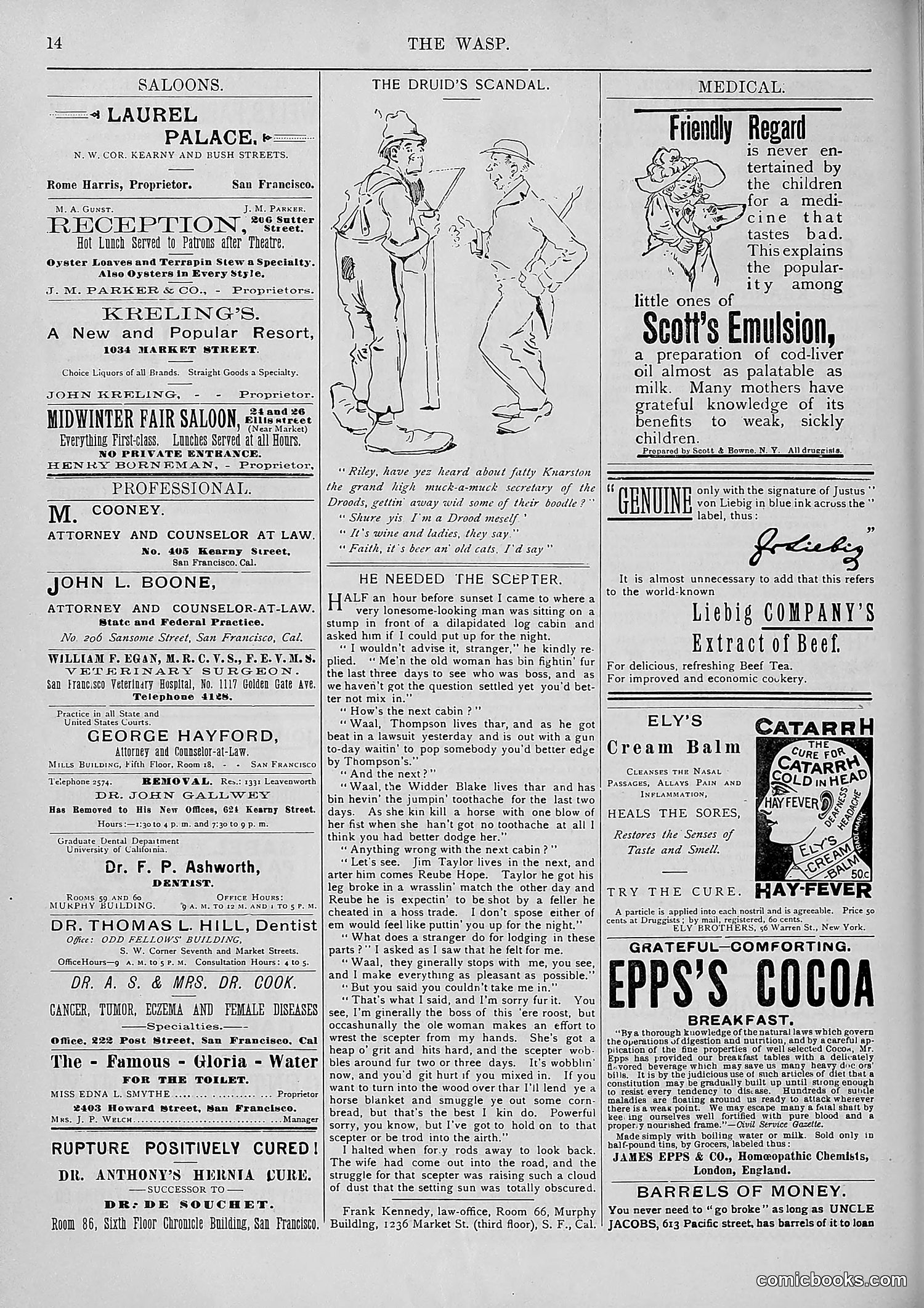 The Wasp — 1893 — page 335 of 578