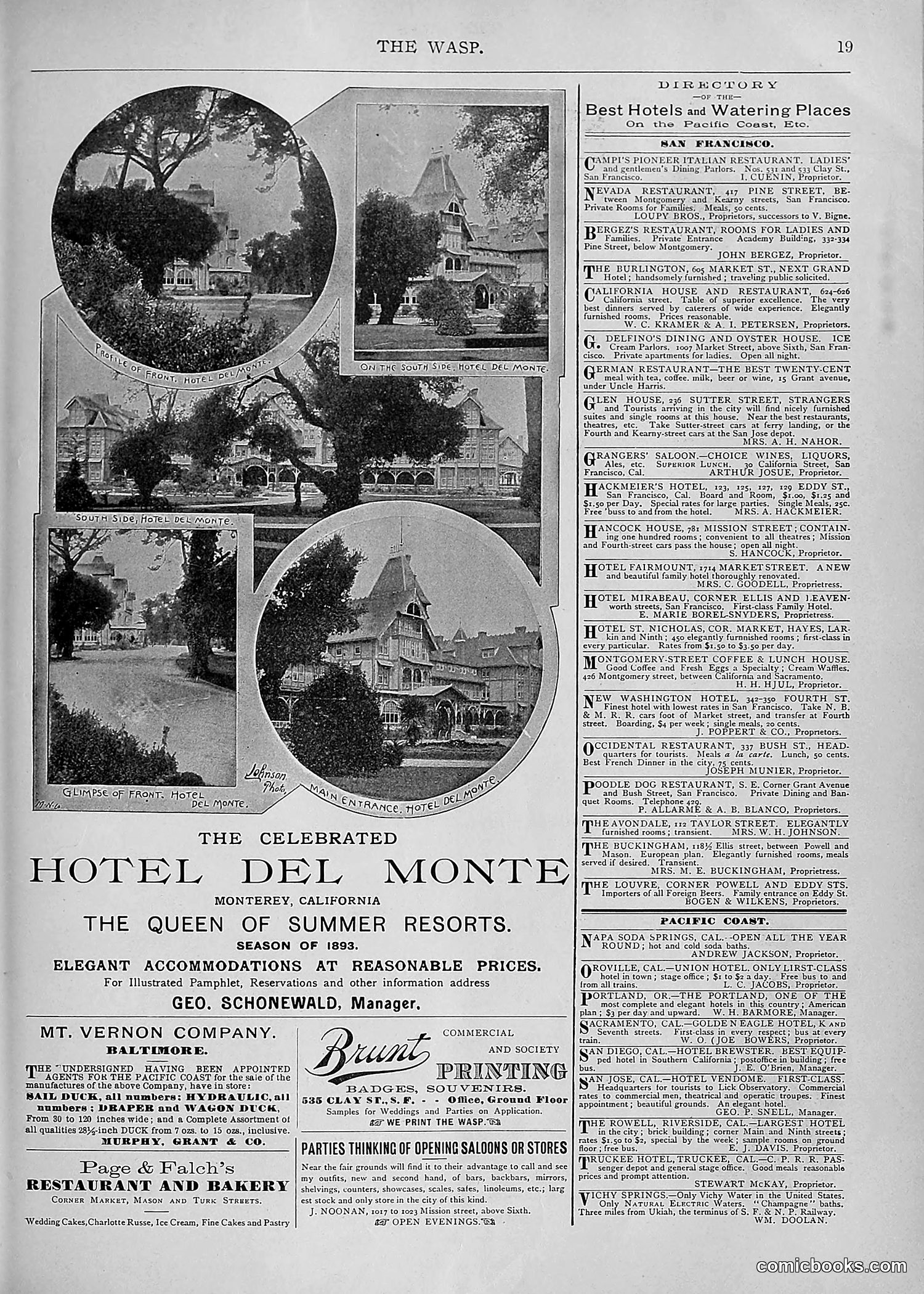 The Wasp — 1893 — page 340 of 578
