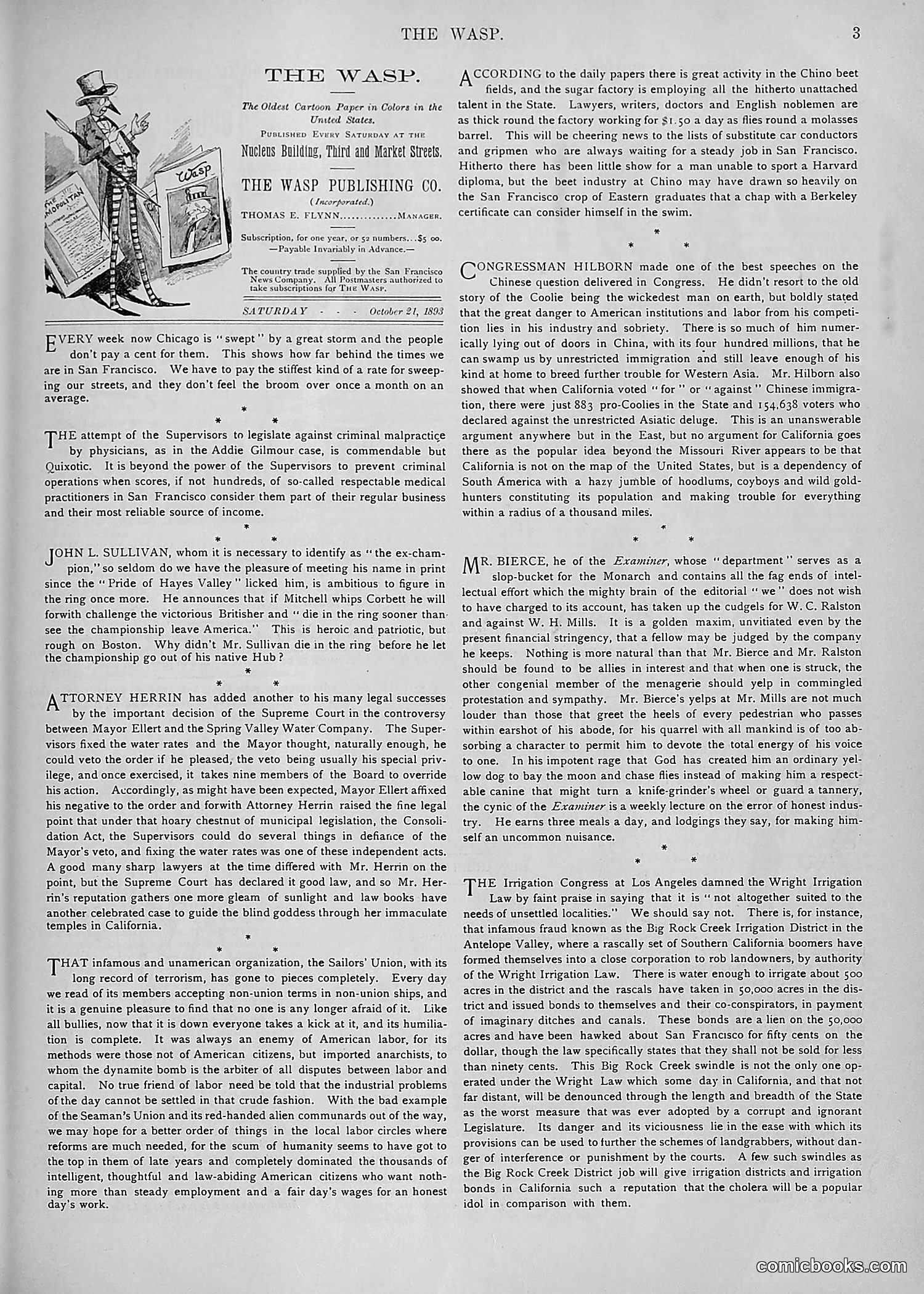 The Wasp — 1893 — page 344 of 578