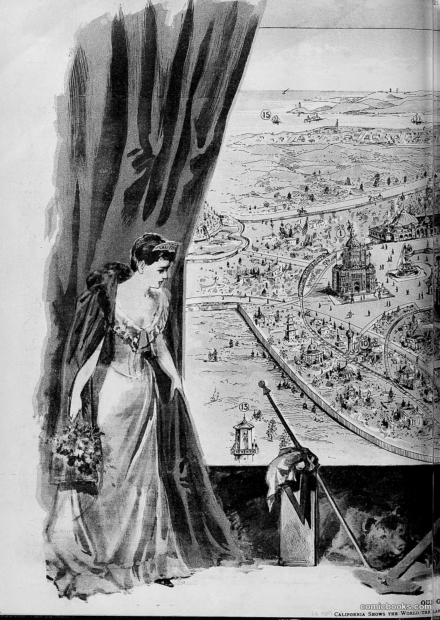 The Wasp — 1893 — page 351 of 578