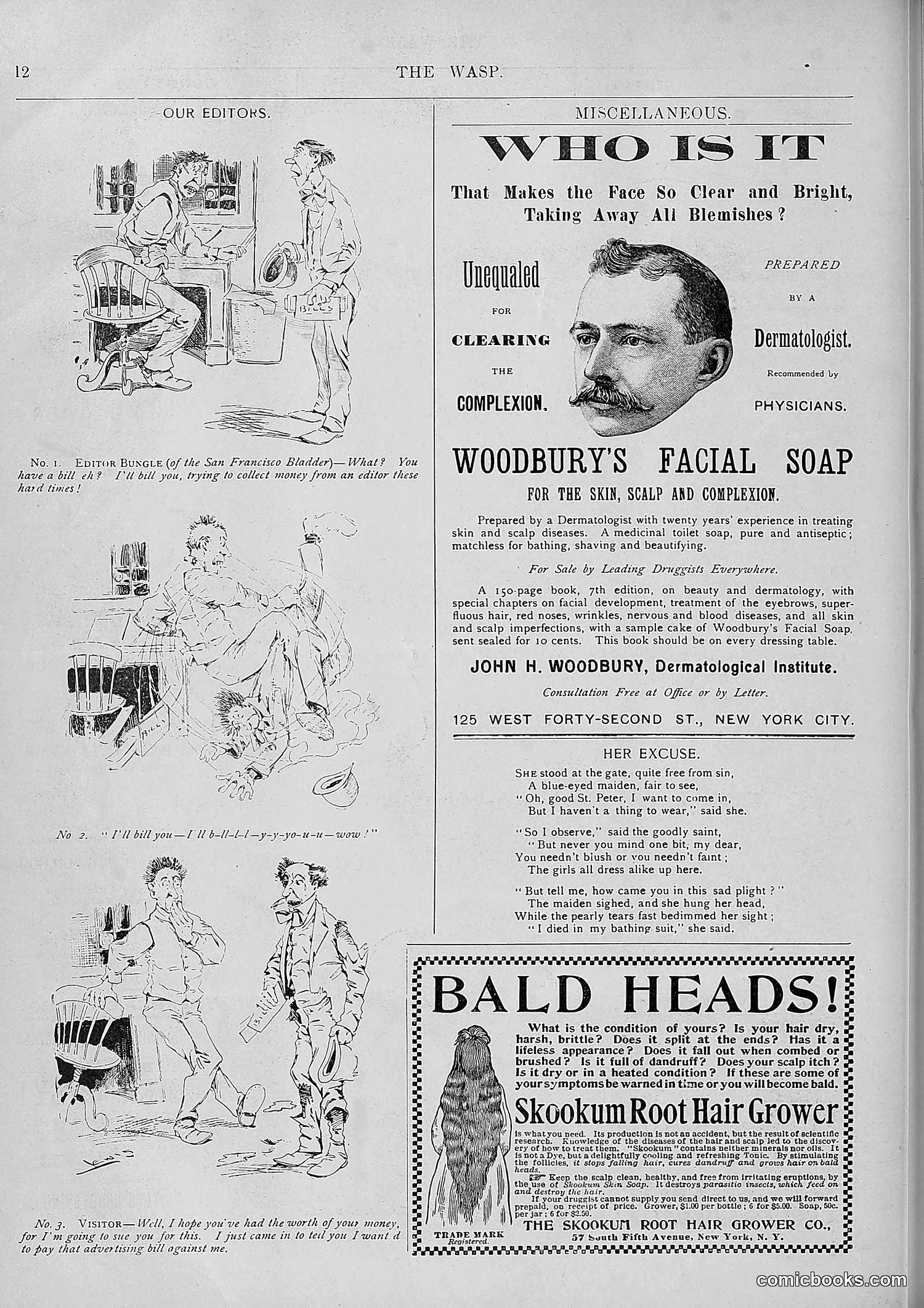 The Wasp — 1893 — page 353 of 578