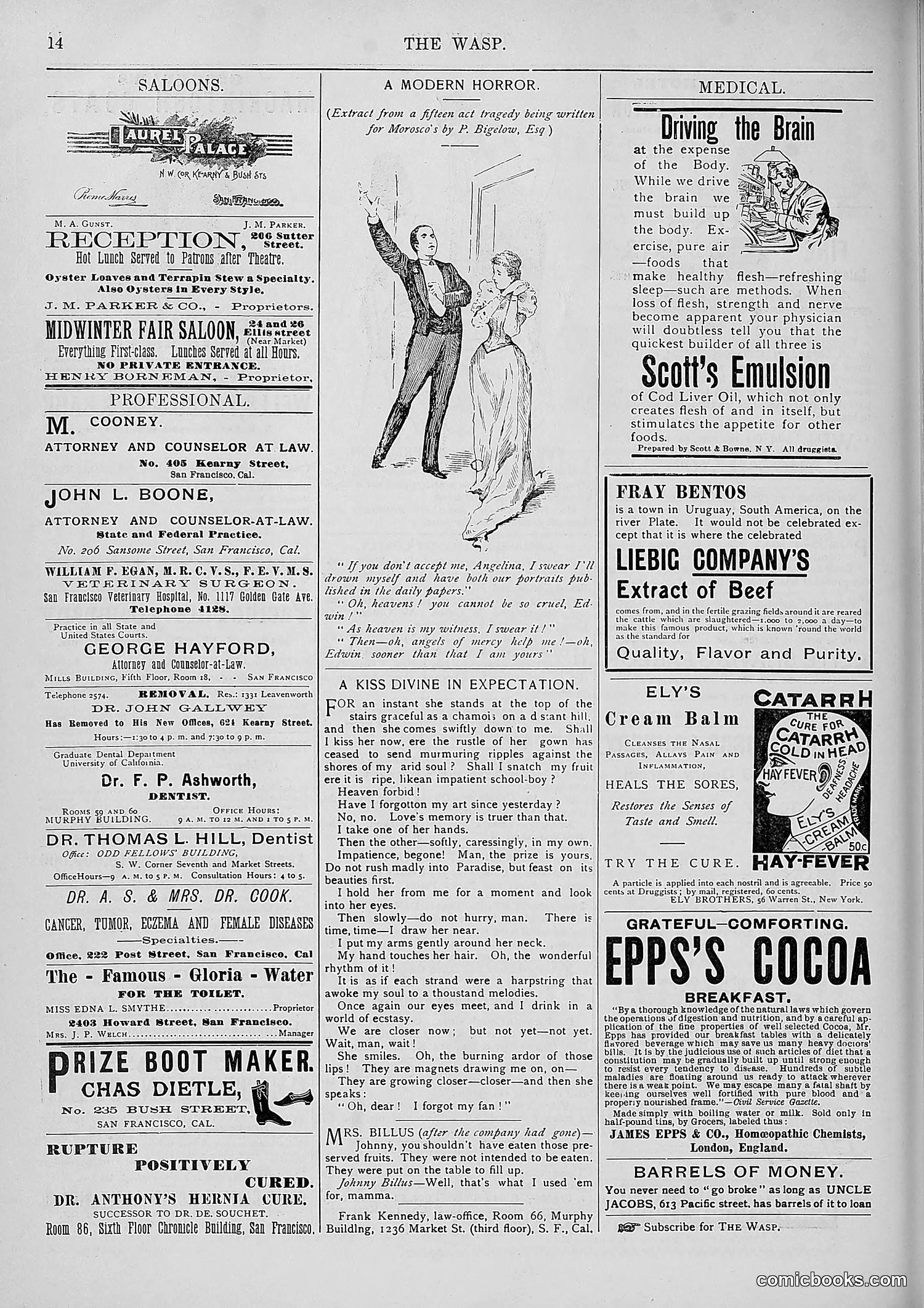 The Wasp — 1893 — page 355 of 578
