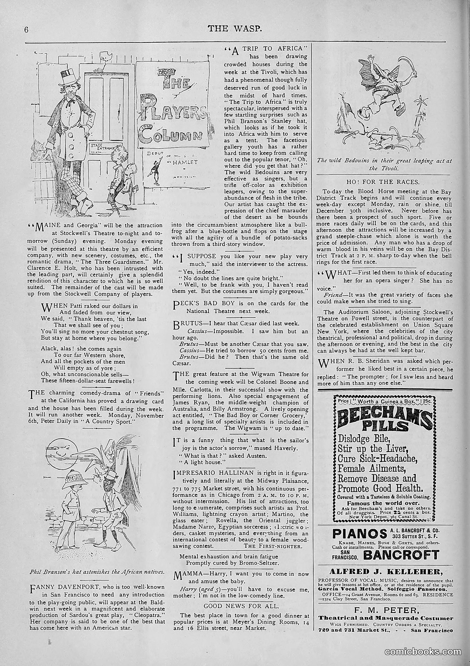 The Wasp — 1893 — page 367 of 578