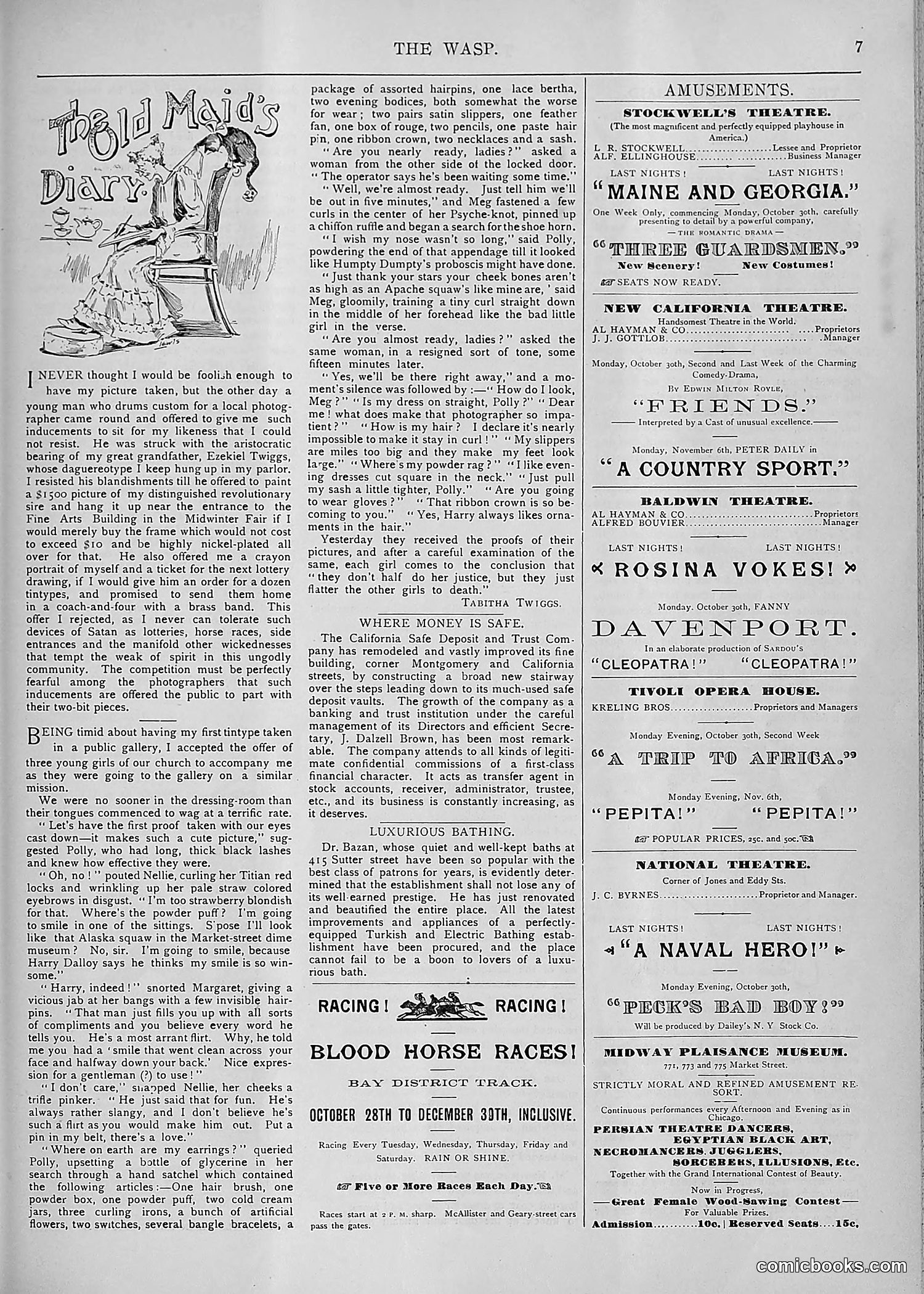 The Wasp — 1893 — page 368 of 578