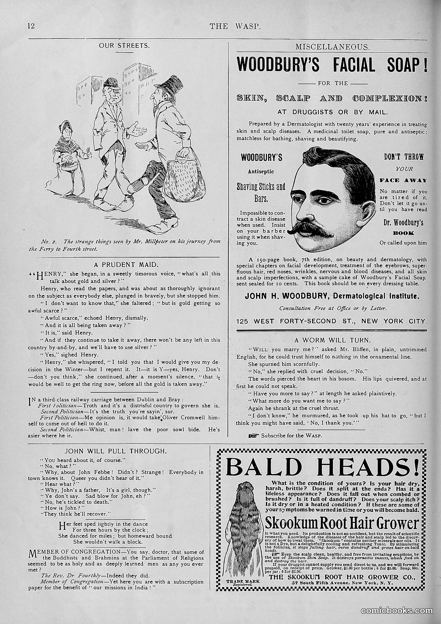 The Wasp — 1893 — page 373 of 578