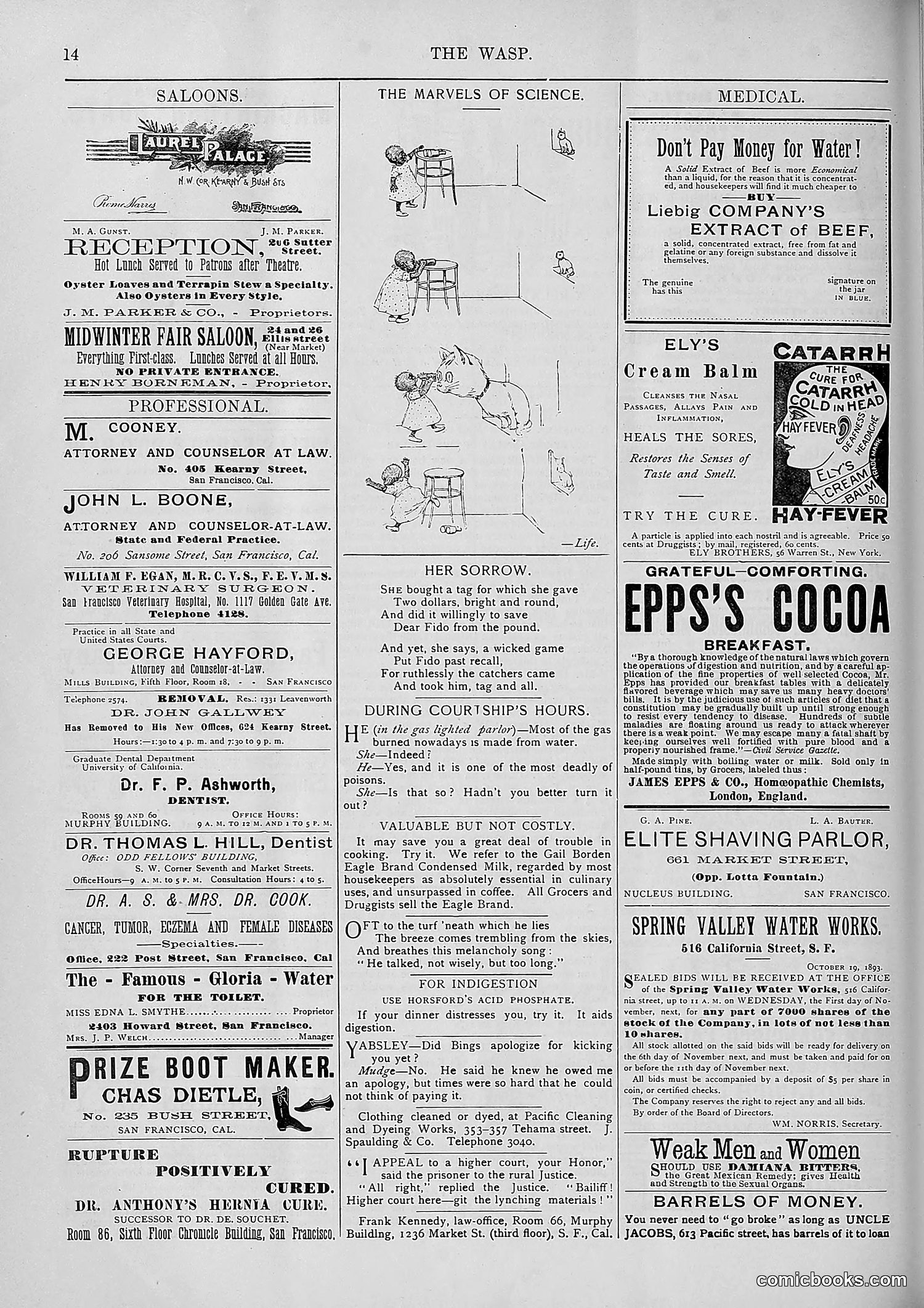 The Wasp — 1893 — page 375 of 578