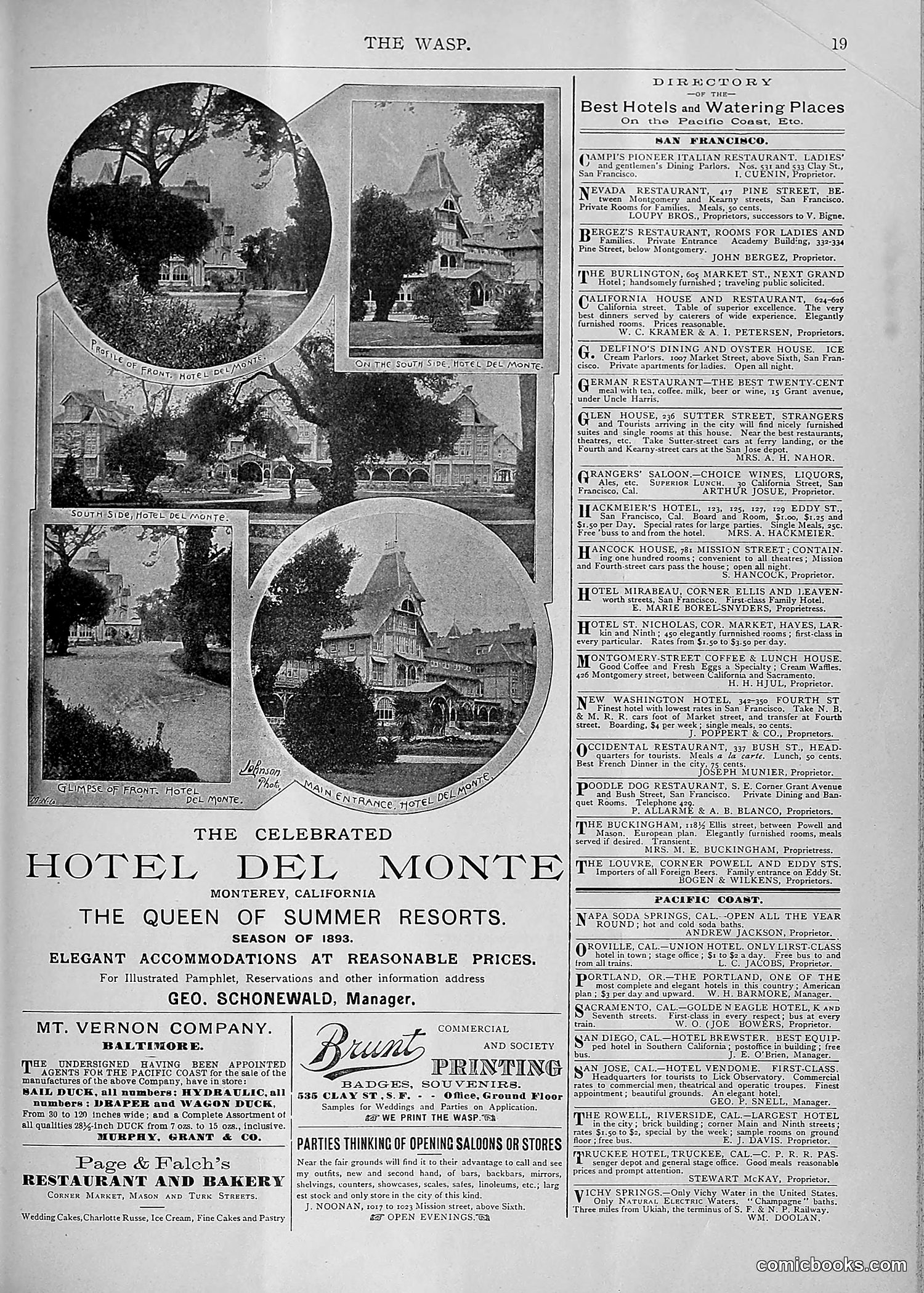 The Wasp — 1893 — page 380 of 578