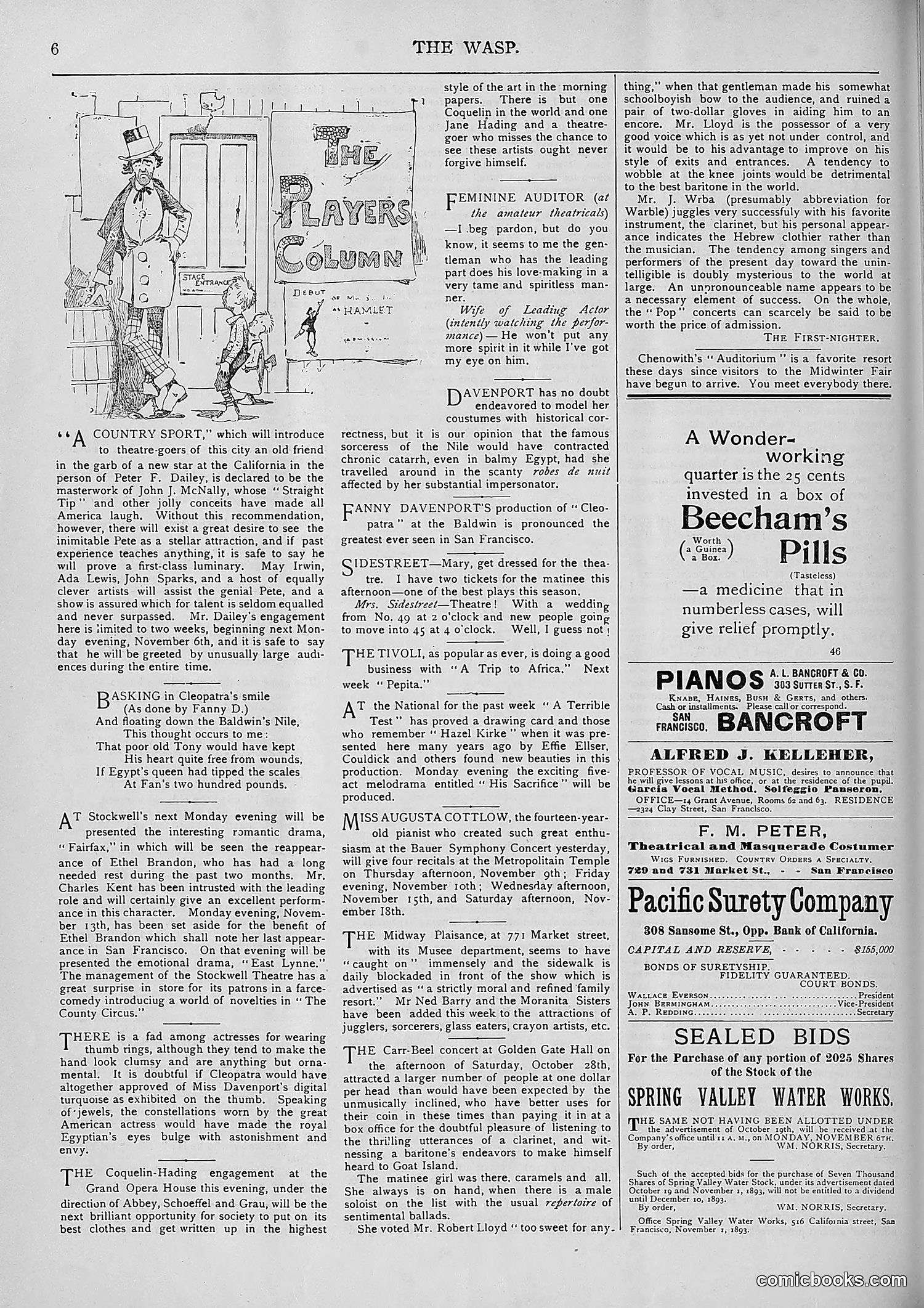 The Wasp — 1893 — page 387 of 578