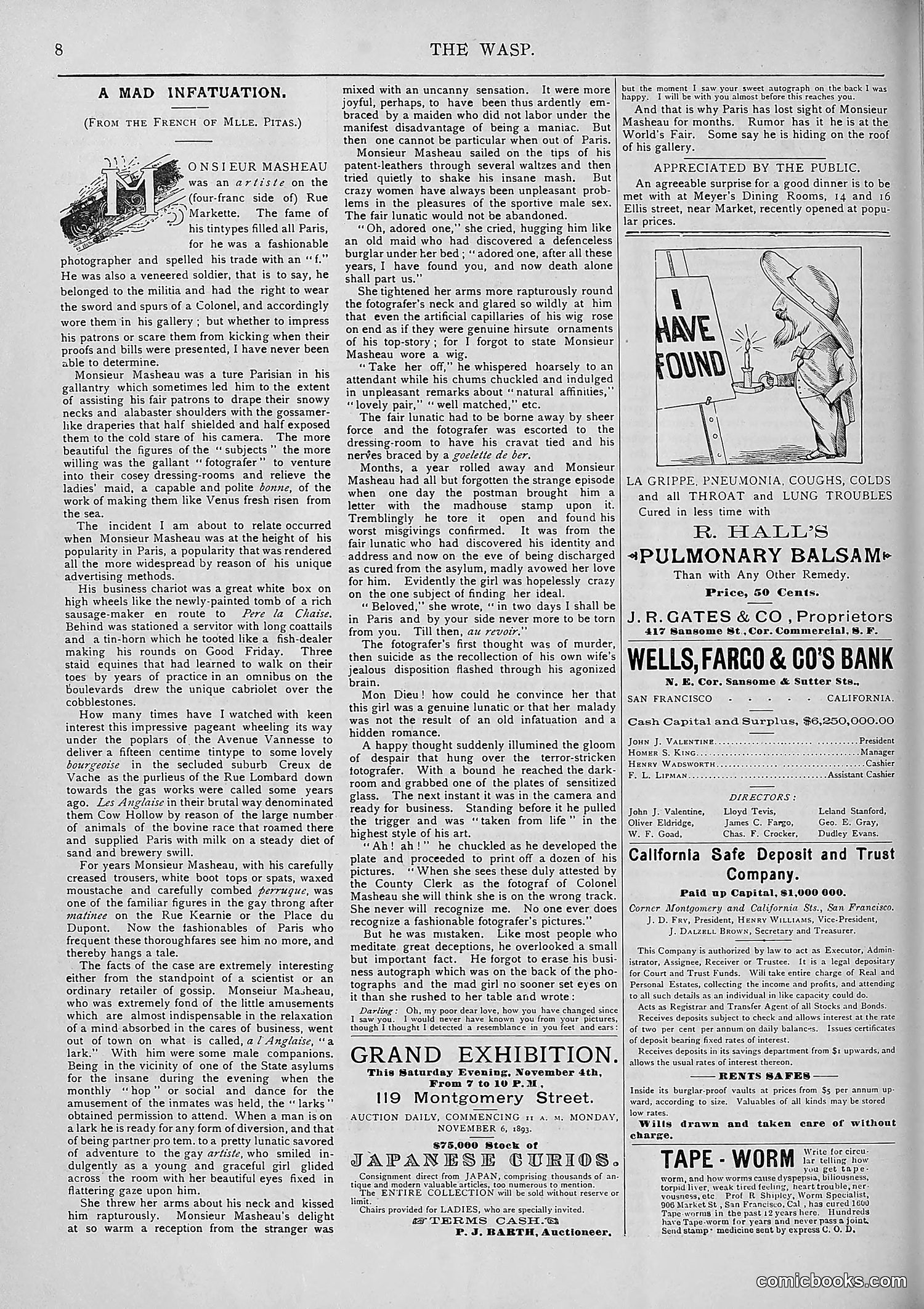 The Wasp — 1893 — page 389 of 578