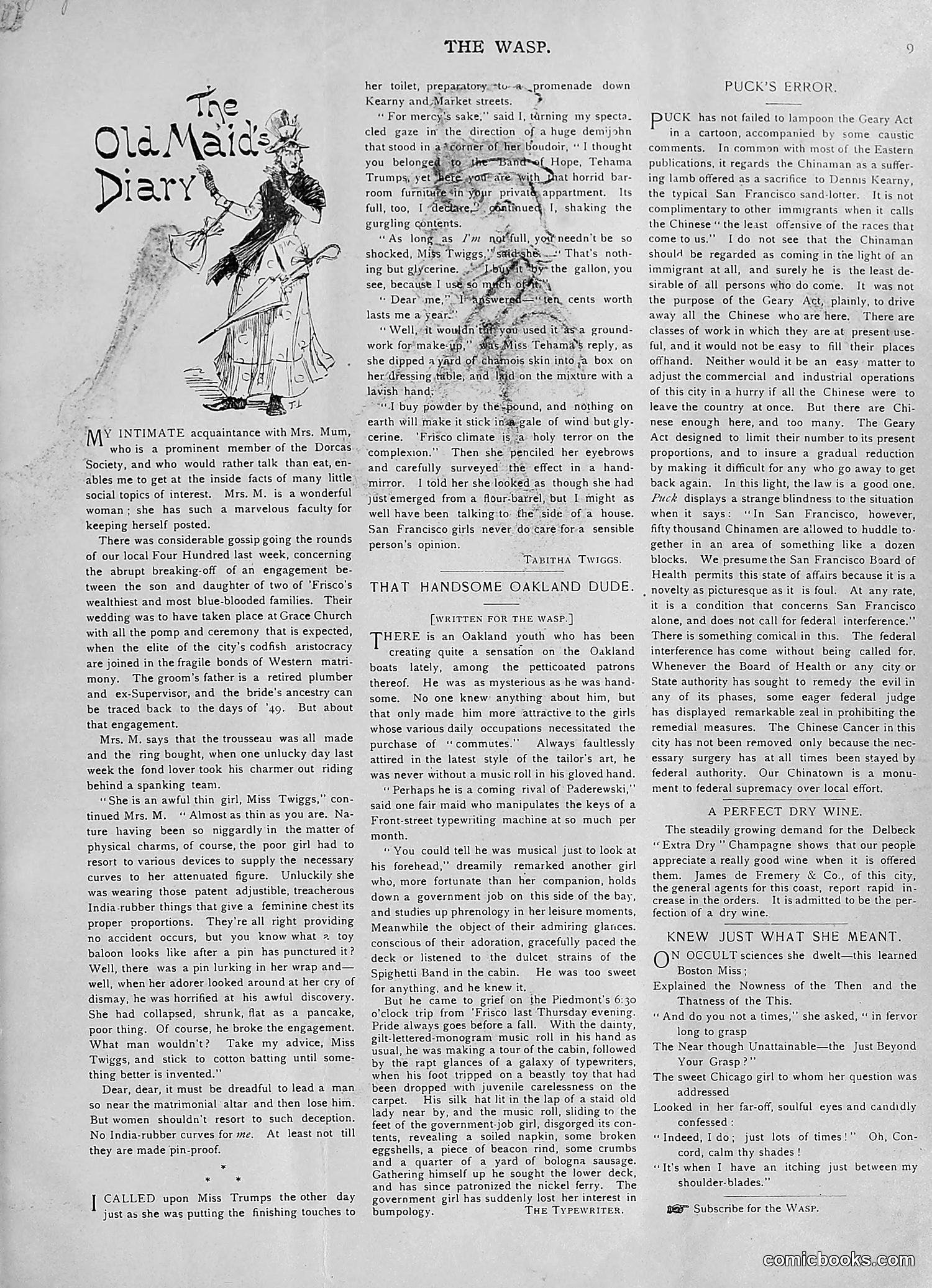 The Wasp — 1893 — page 40 of 578
