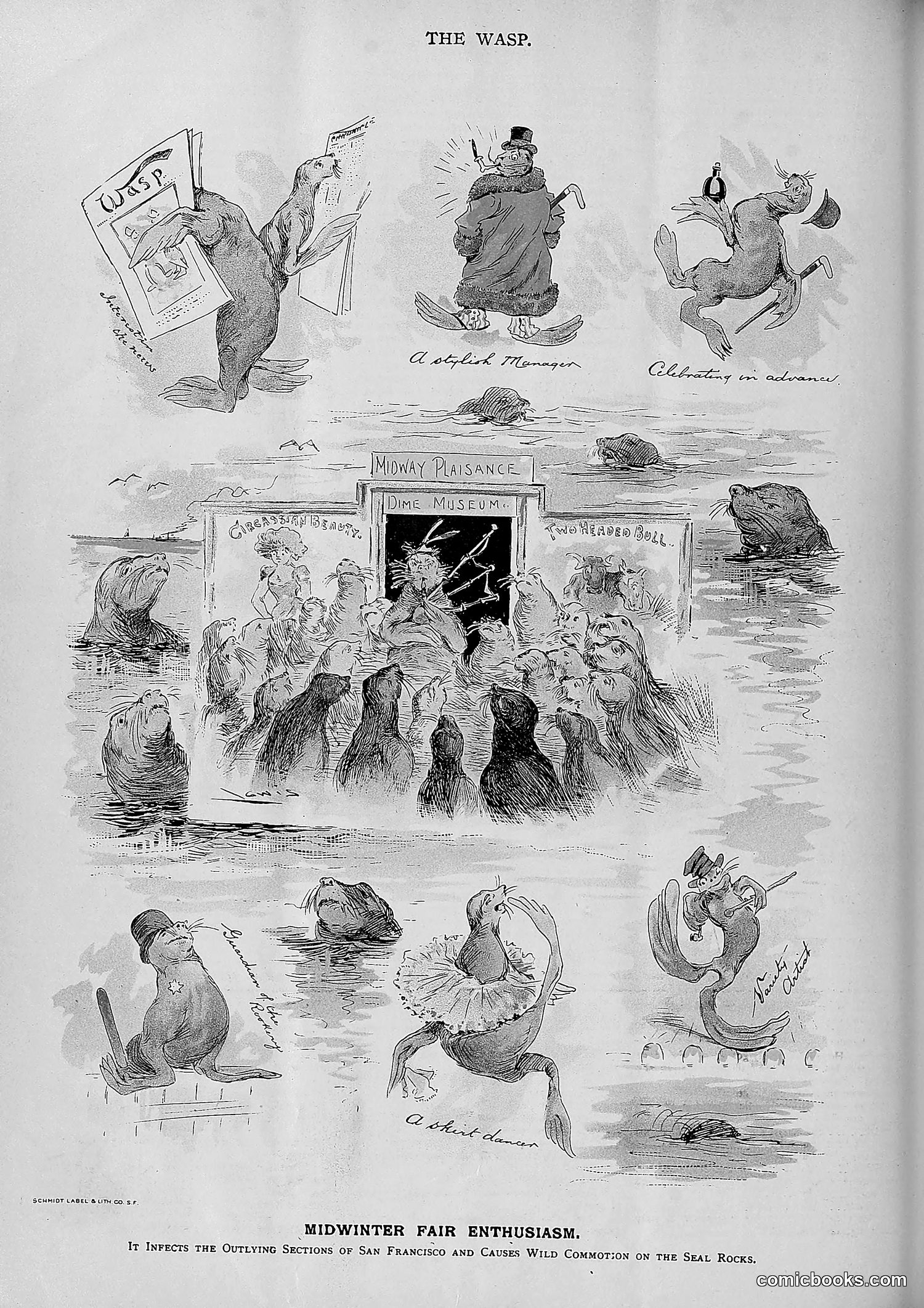 The Wasp — 1893 — page 391 of 578