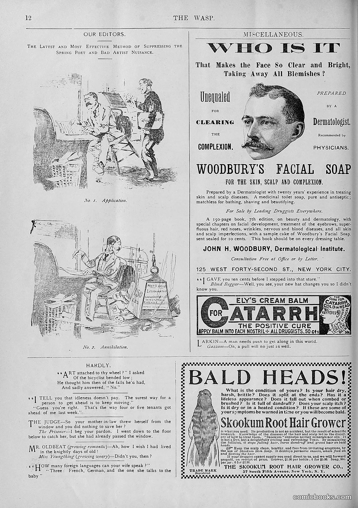 The Wasp — 1893 — page 393 of 578