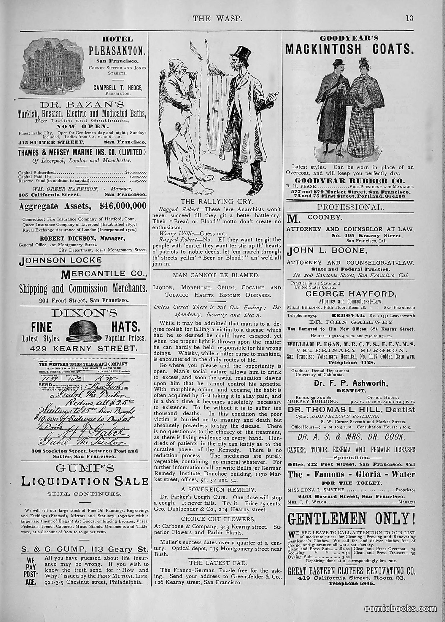 The Wasp — 1893 — page 394 of 578