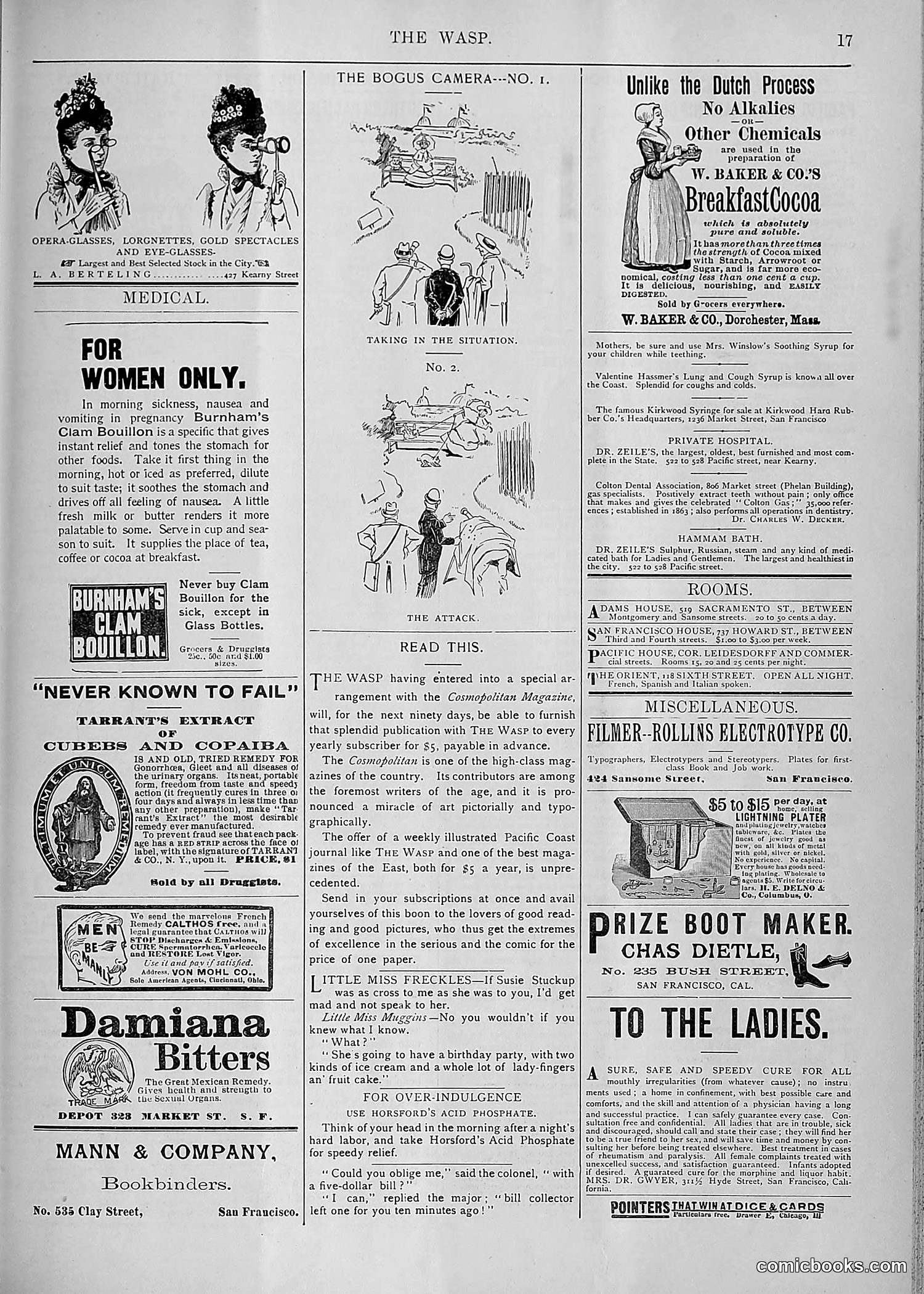 The Wasp — 1893 — page 398 of 578