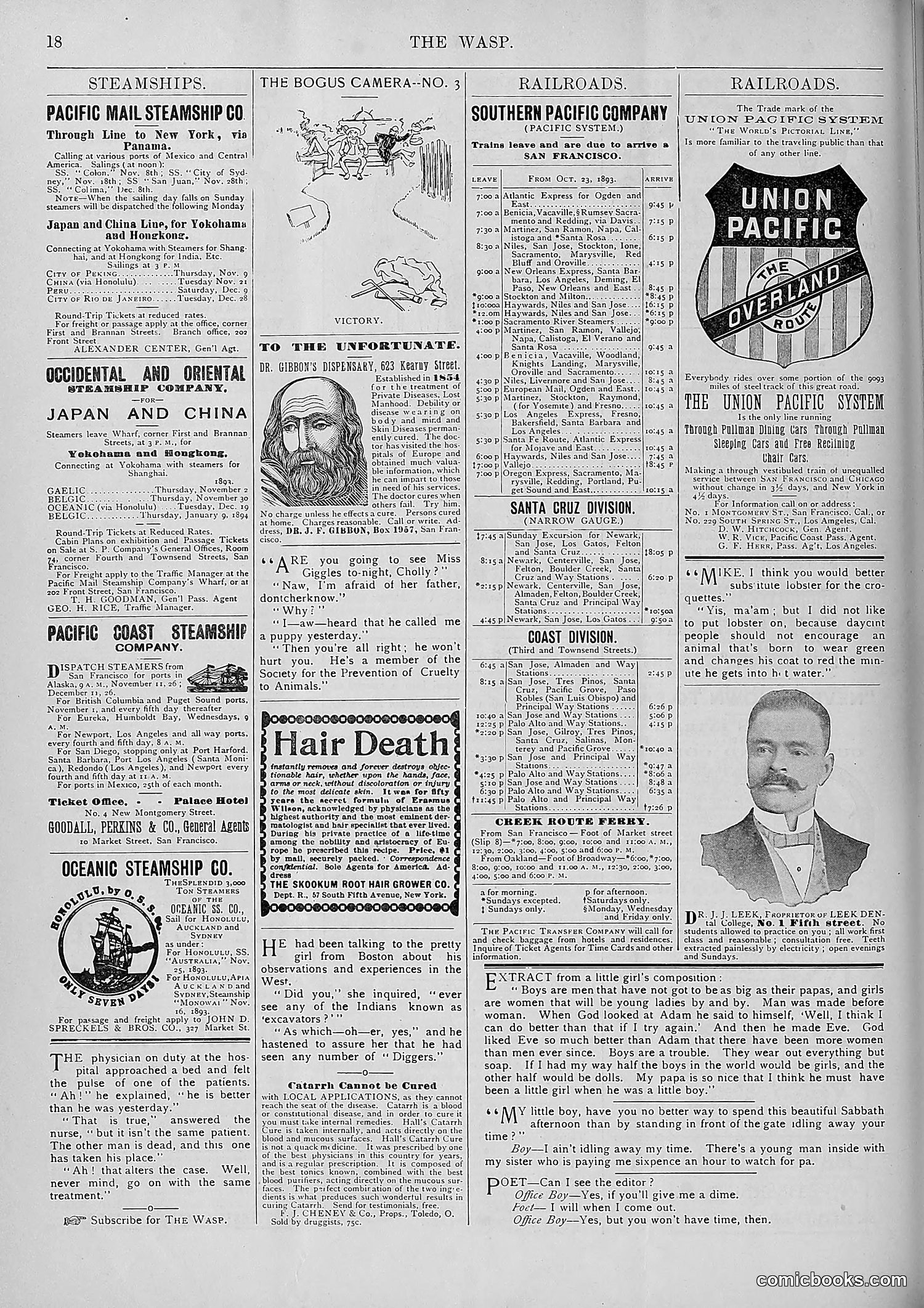 The Wasp — 1893 — page 399 of 578